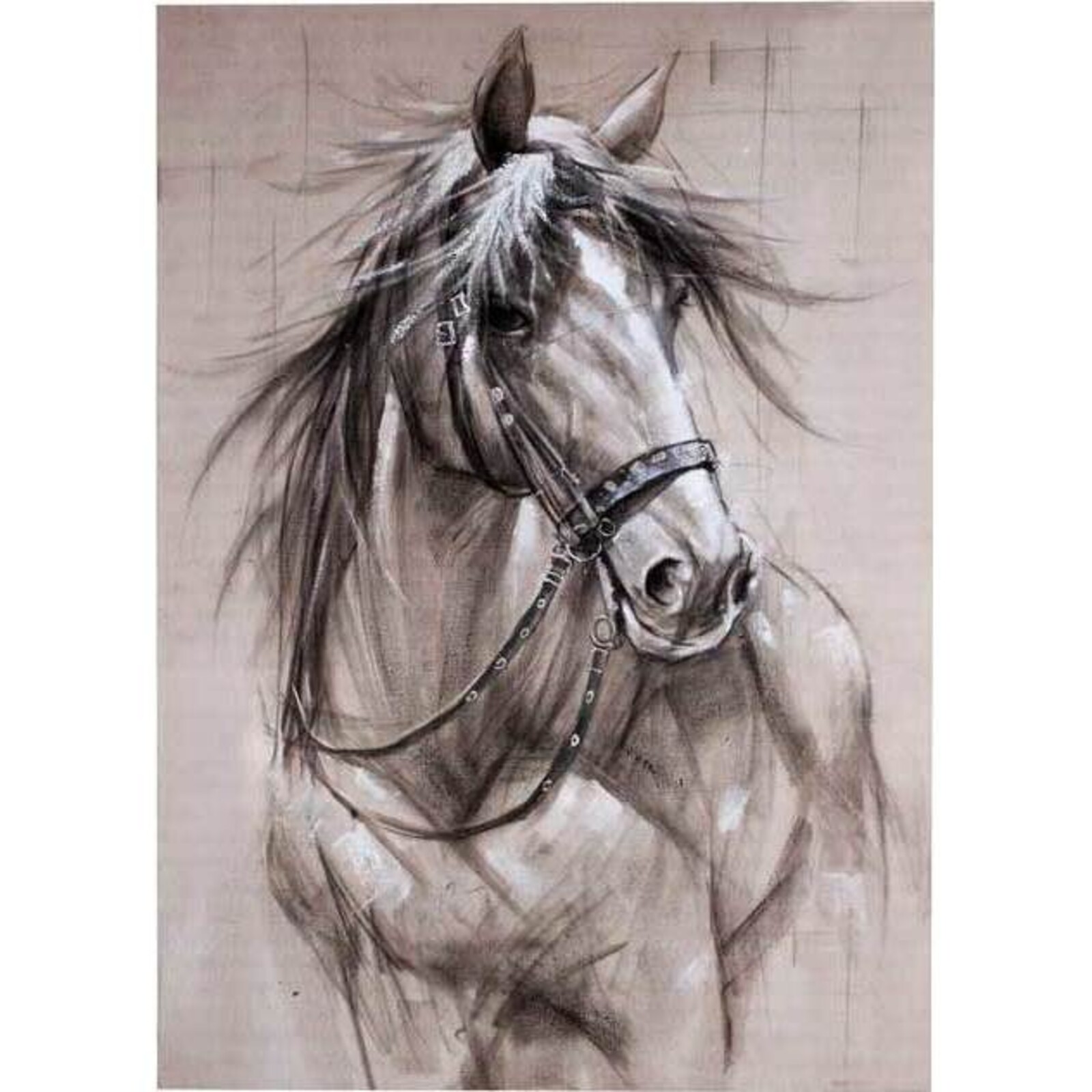 Canvas Pencil  Horse