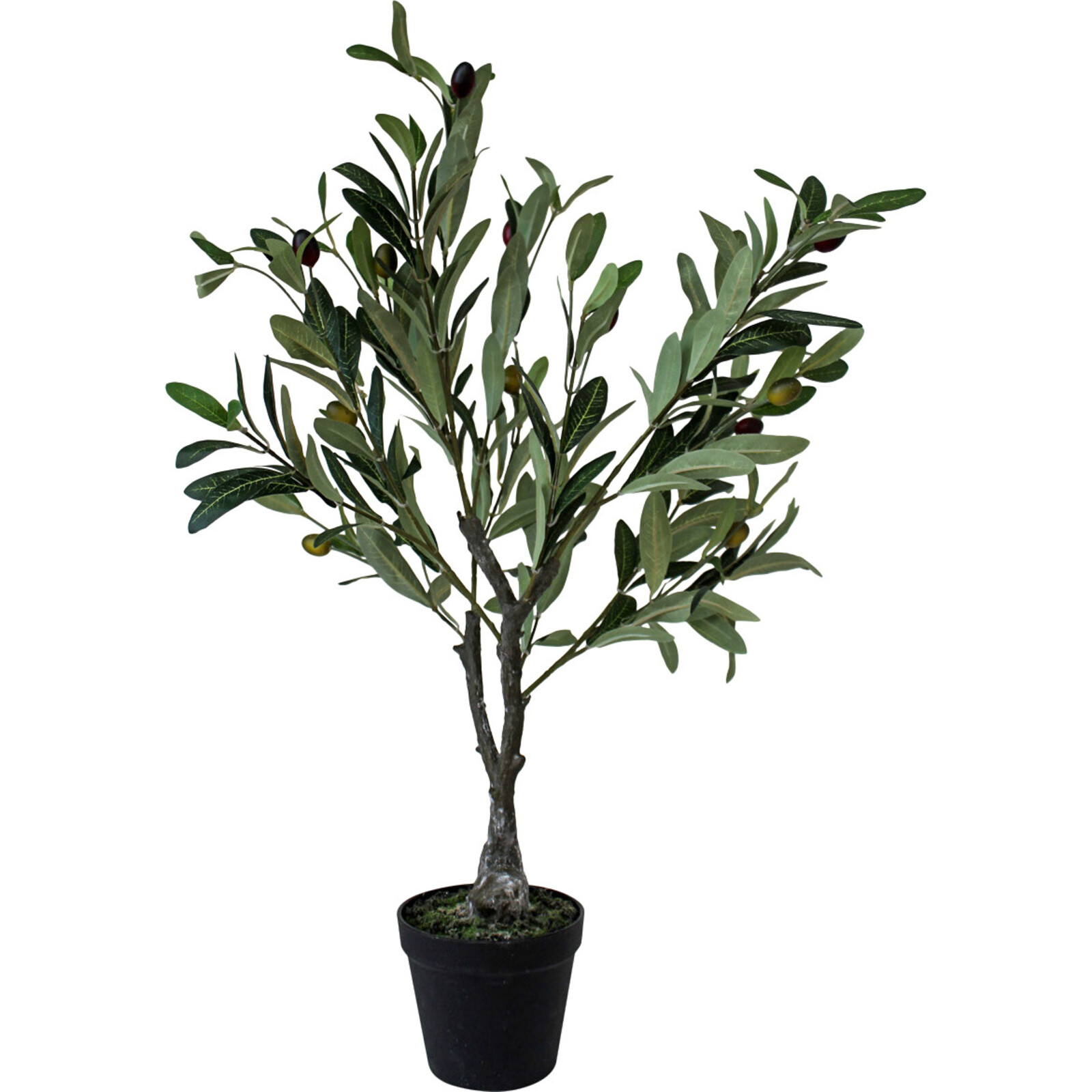 Olive Tree Med