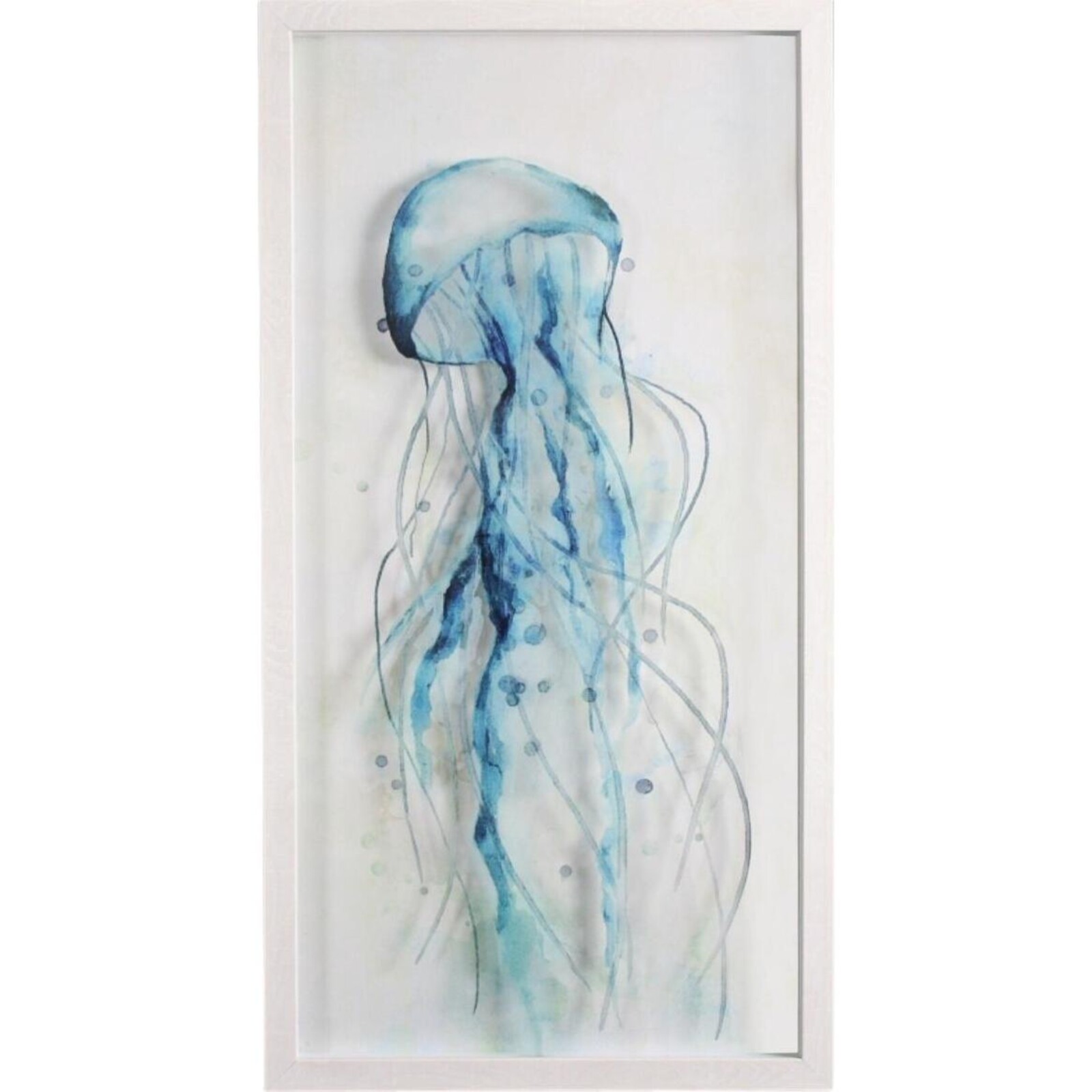 Framed  Jellyfish