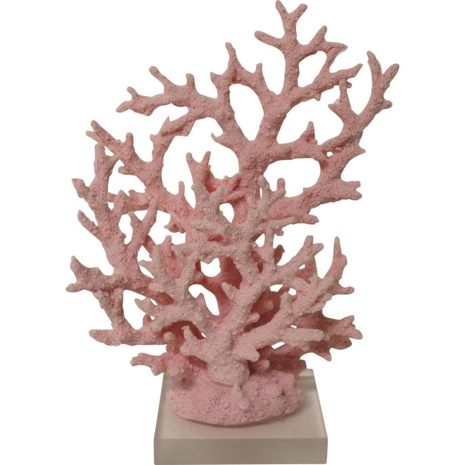 Coral Staghorn Pink Sml