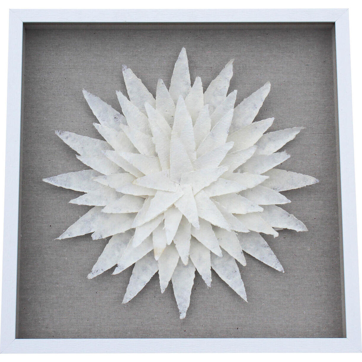 Framed White Leaves 