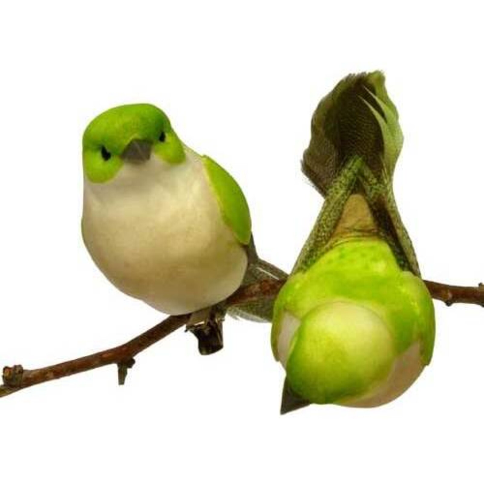 Clip Bird Lime Green S/2