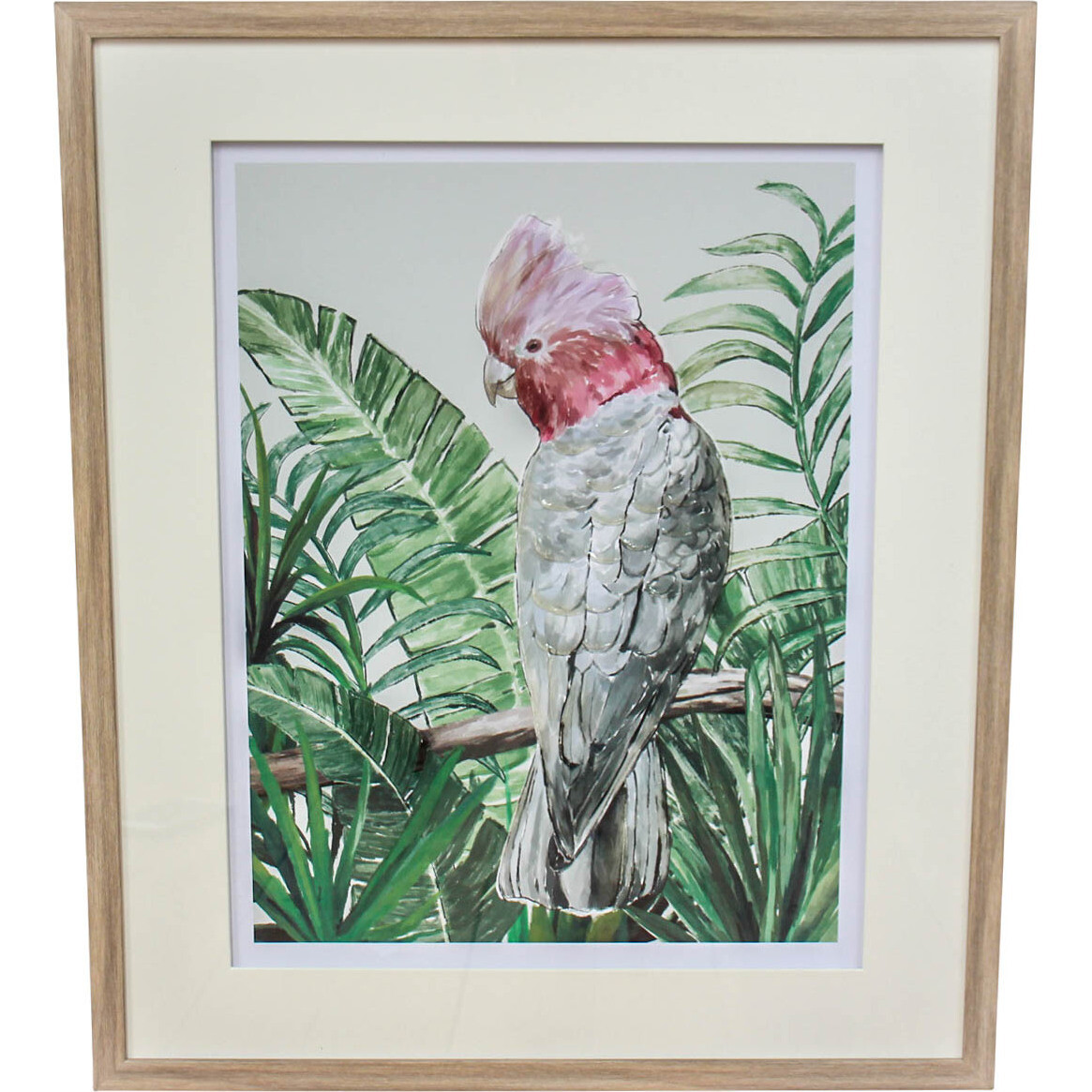 Framed Print Galah