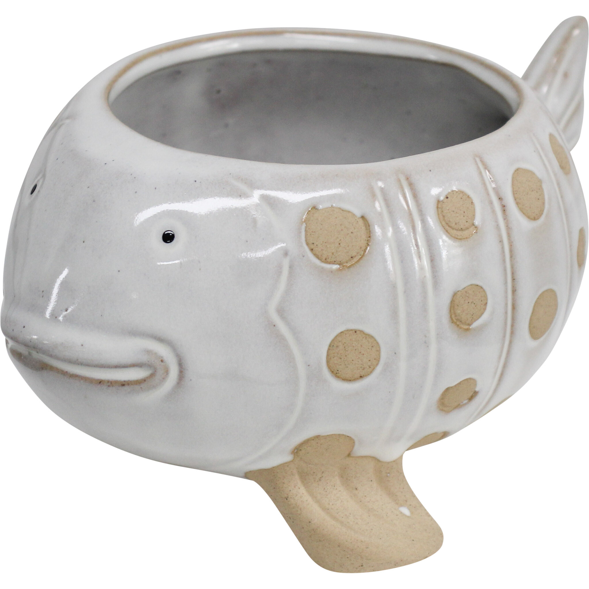 Planter Paddling Fish