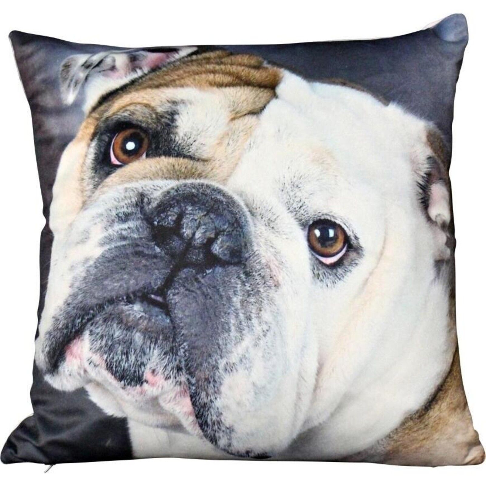 Cushion Royal Bulldog