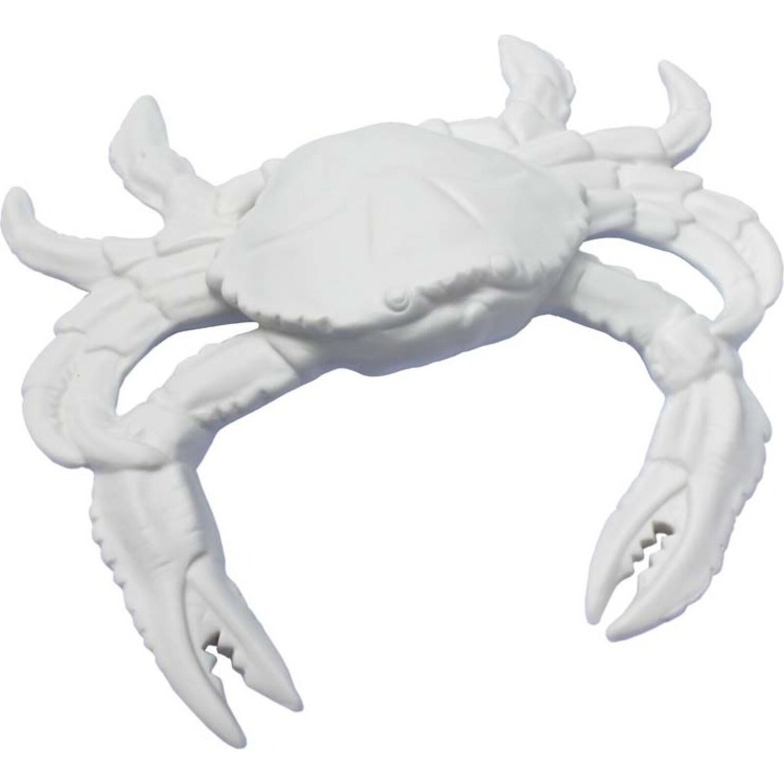 Porcelain Flat Crab