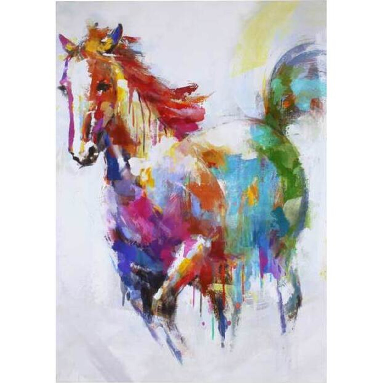 Canvas Coloured Horse