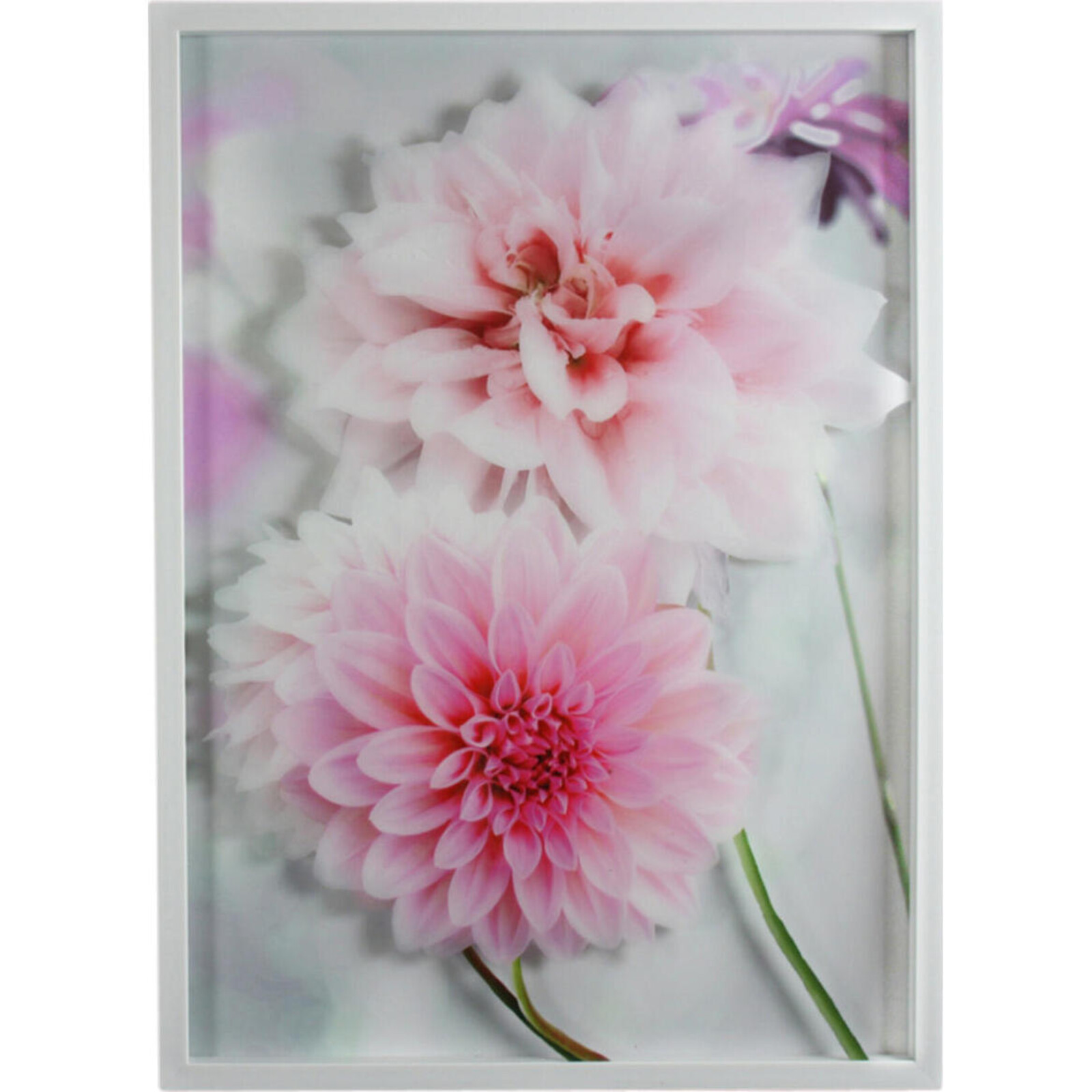 Framed Double Flower Pink
