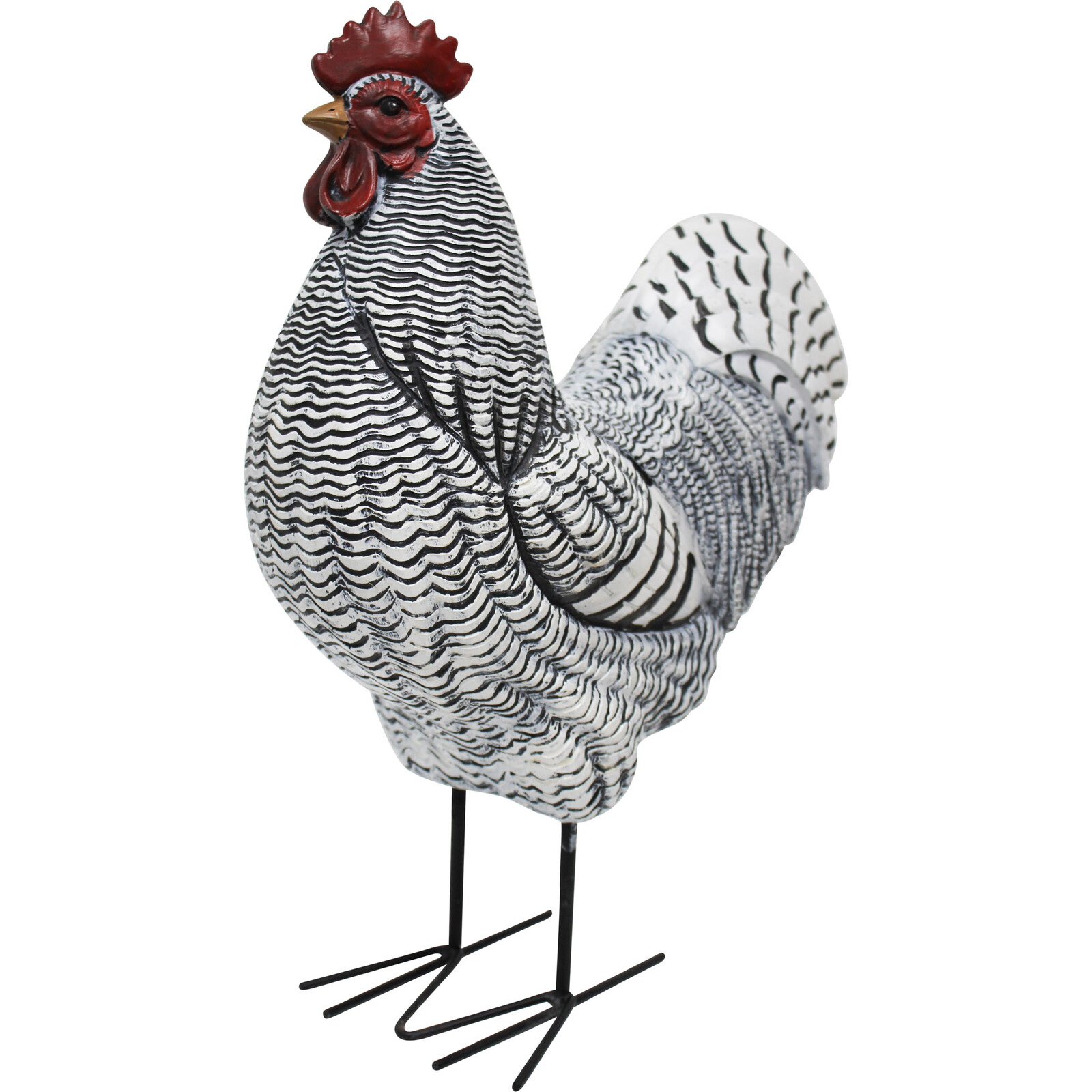 Grey Wash Rooster