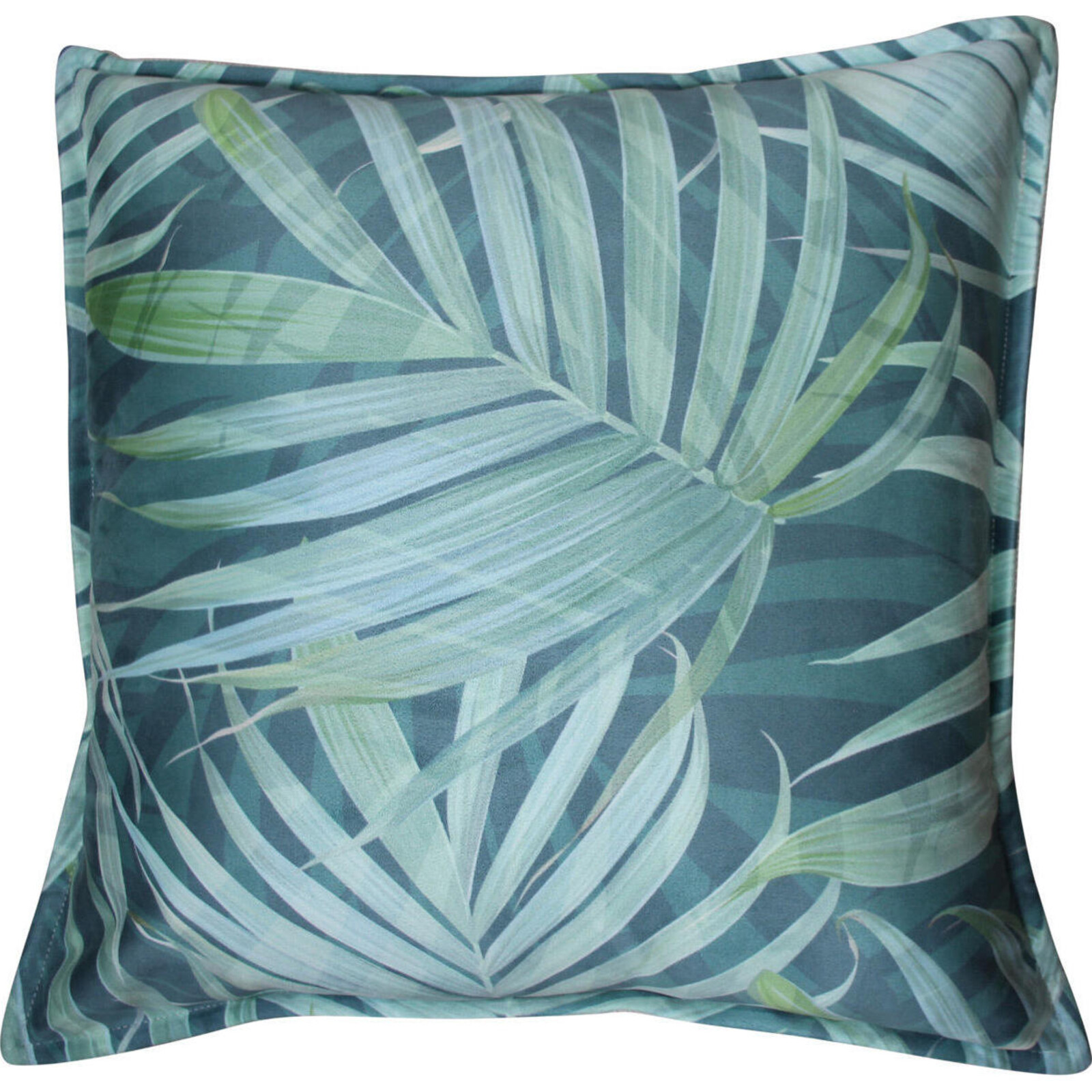 Cushion Palm