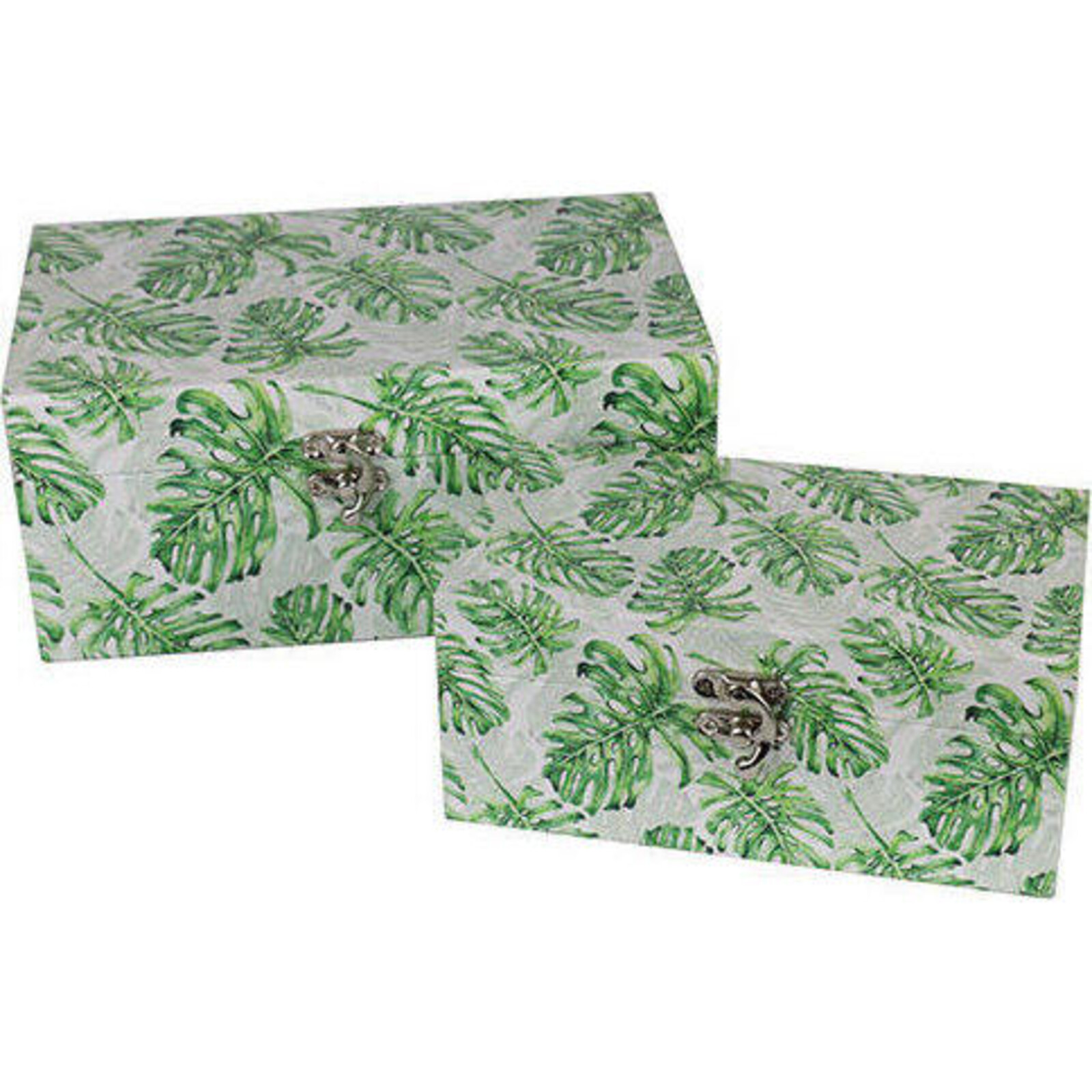 Boxes Monstera S/2