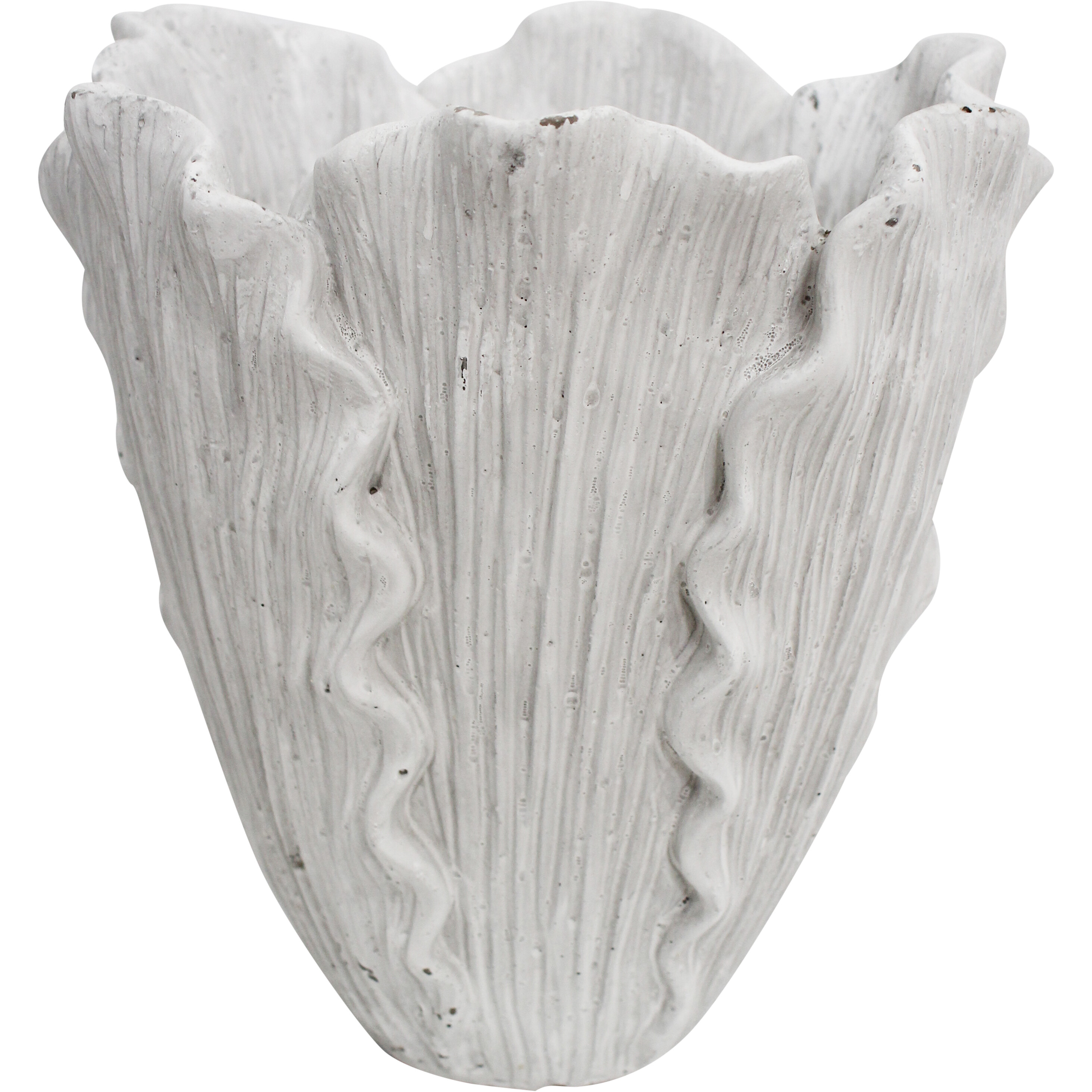 Planter Foliose Coral