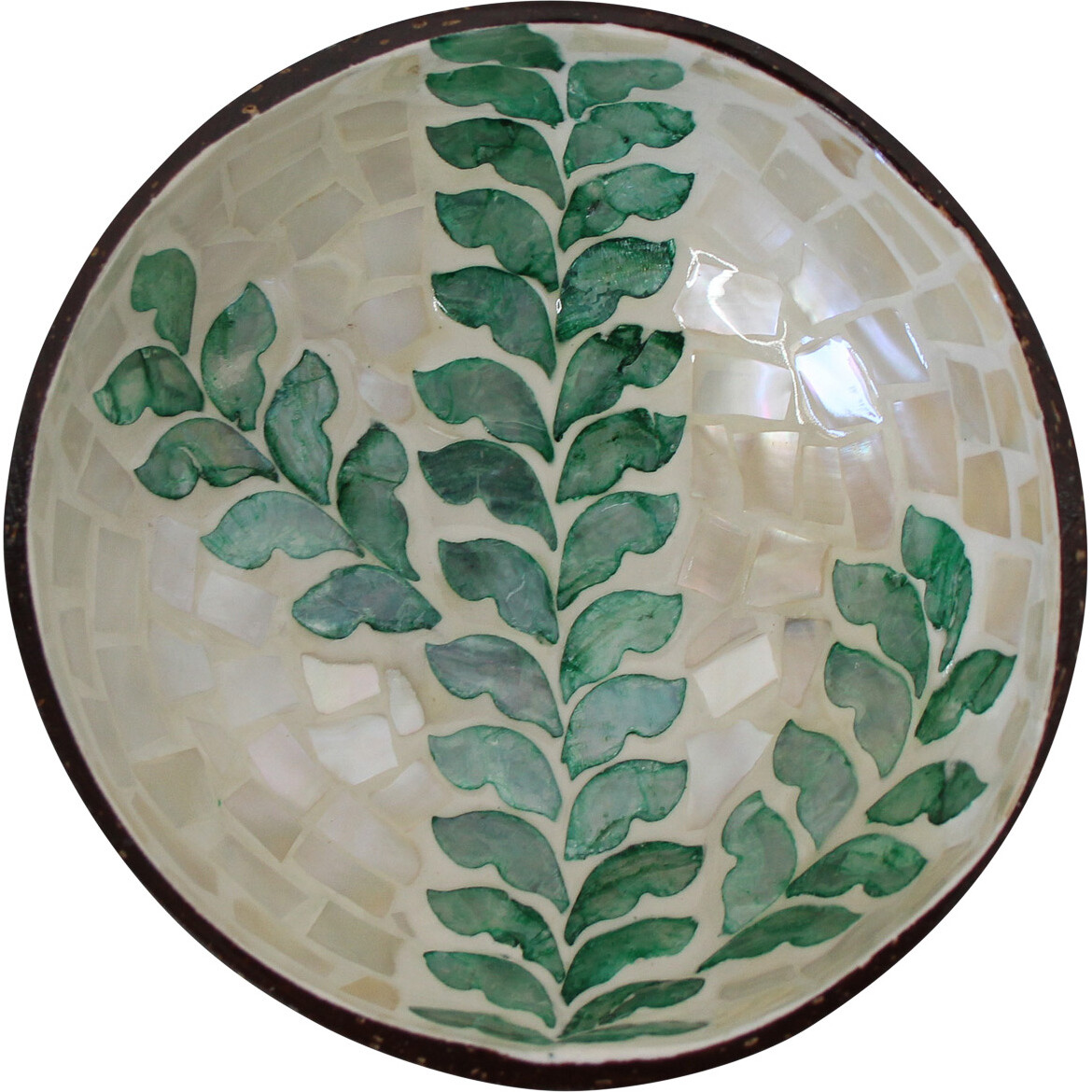 Coco Bowl Fern