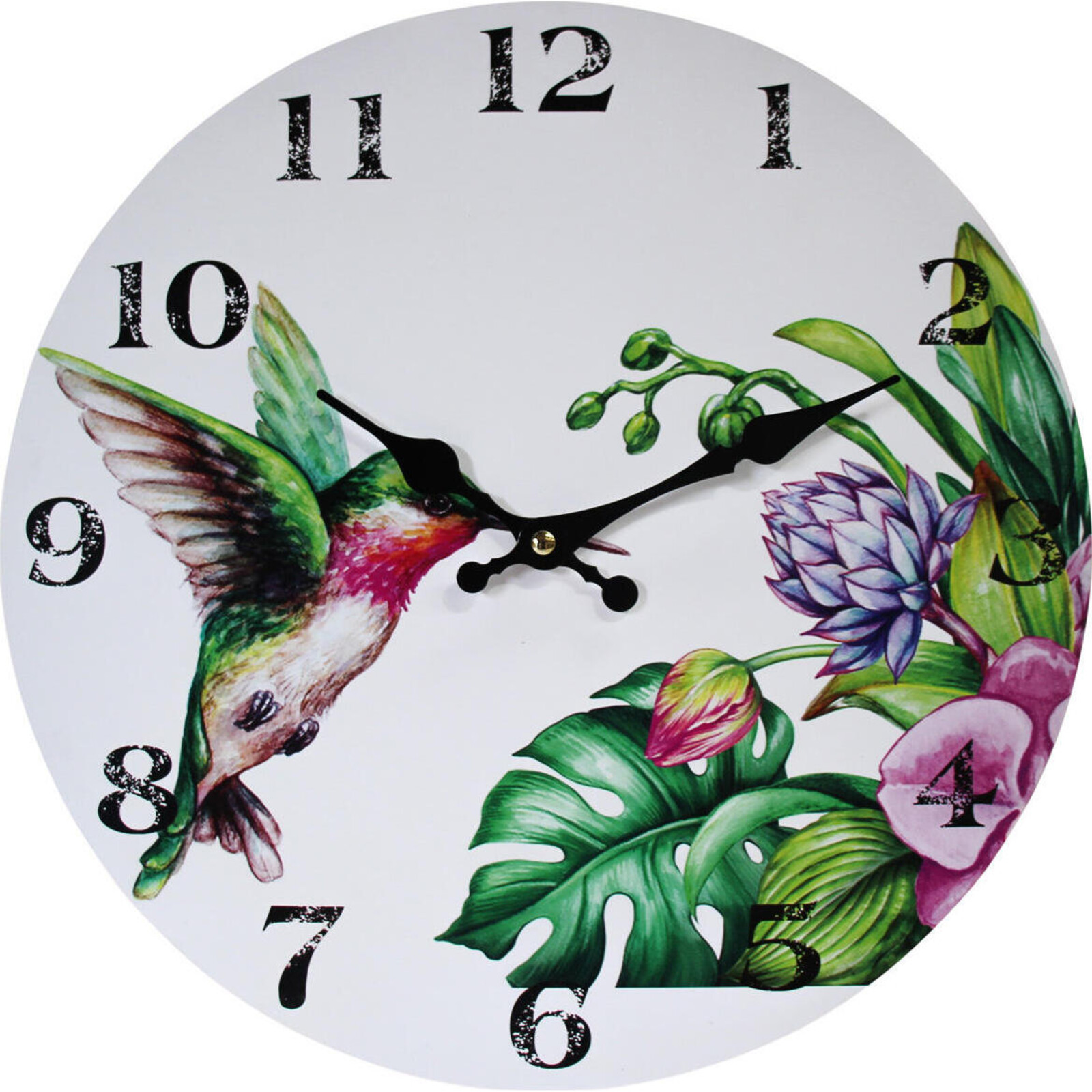 Clock Bird/Succulent