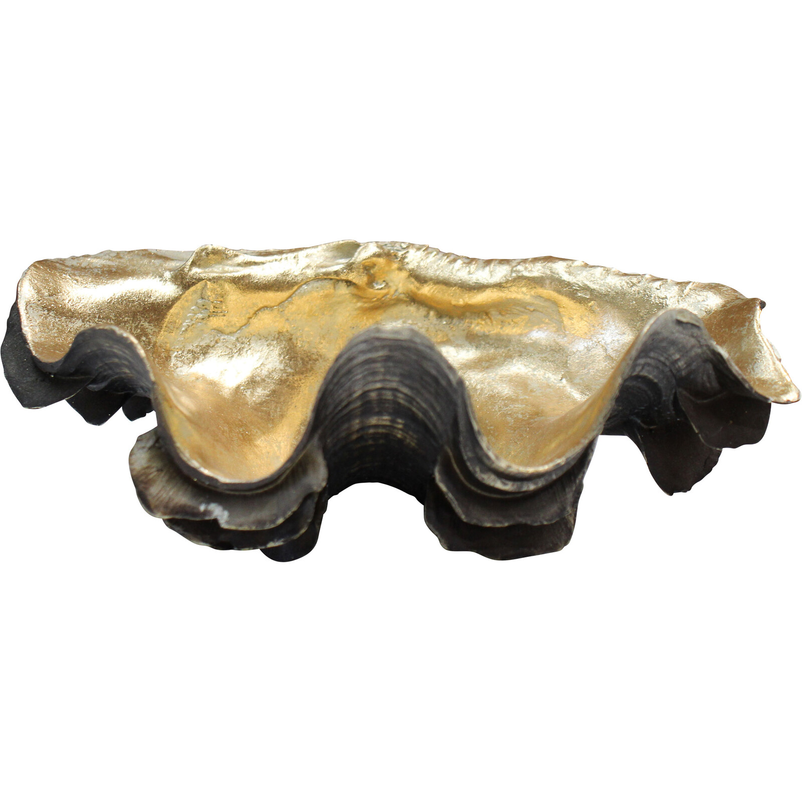 Clam Shell Bahama Med Bronze/Gold