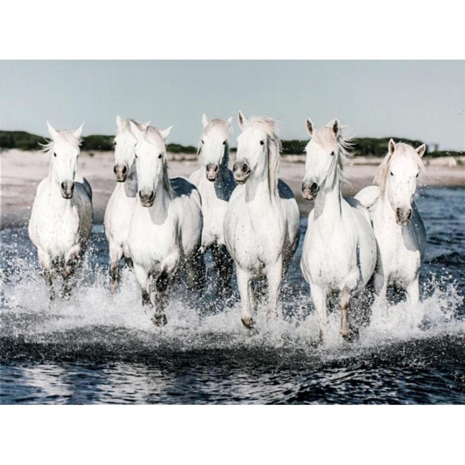 Glass Art White Ocean Horses