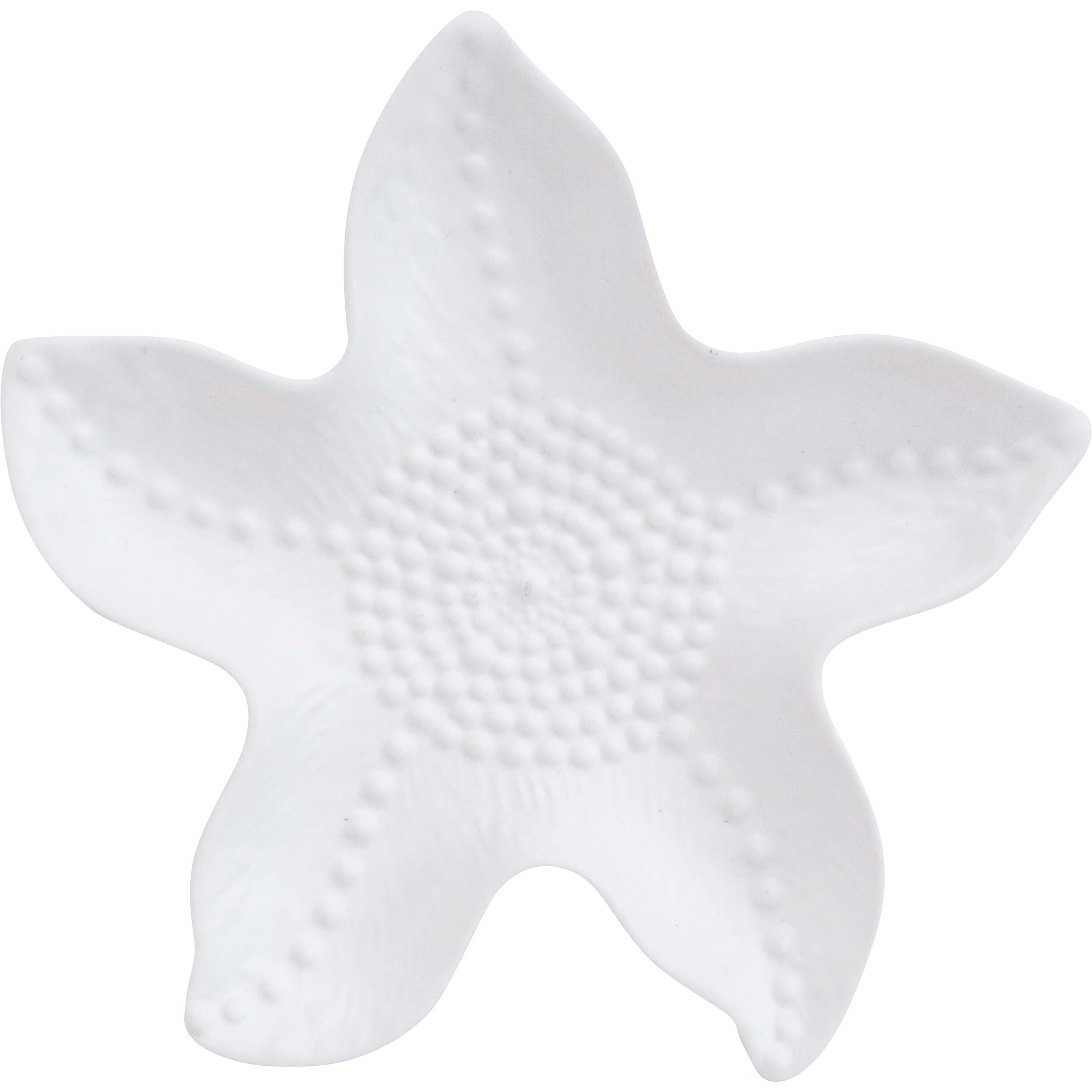 Starfish Plate White