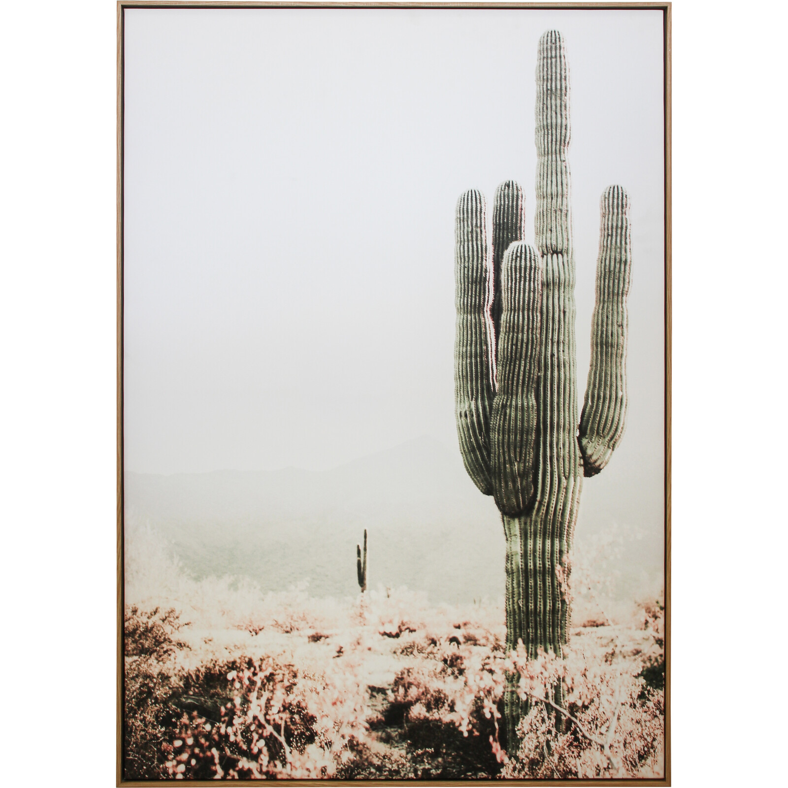 Framed Canvas Cactus