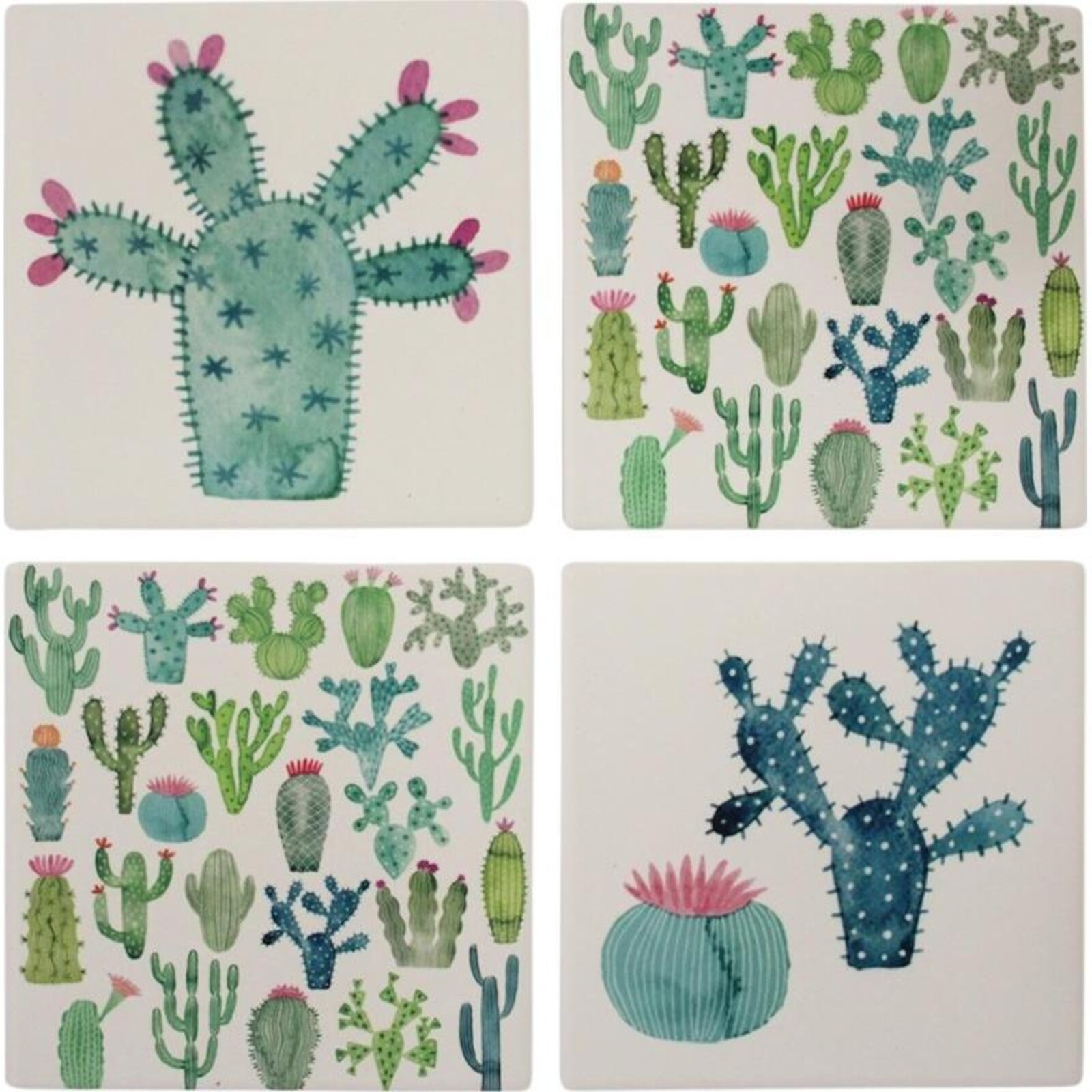 Coasters Cute Cacti Asstd