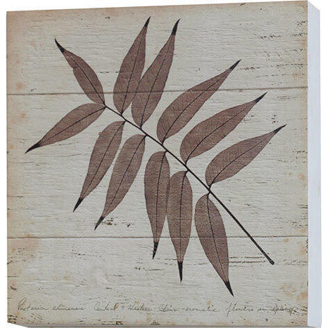 Wall Art Ash Leaf