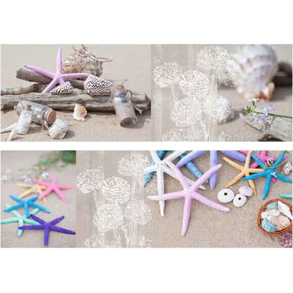 Canvas - Starfish n Shells - set 2