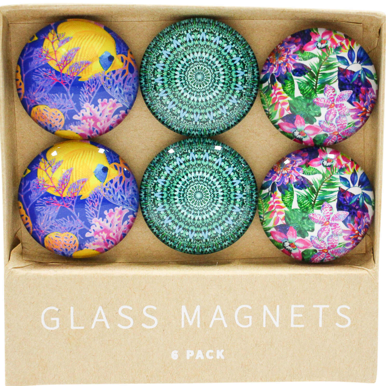 Glass Magnets Marrigold Reef S/6  