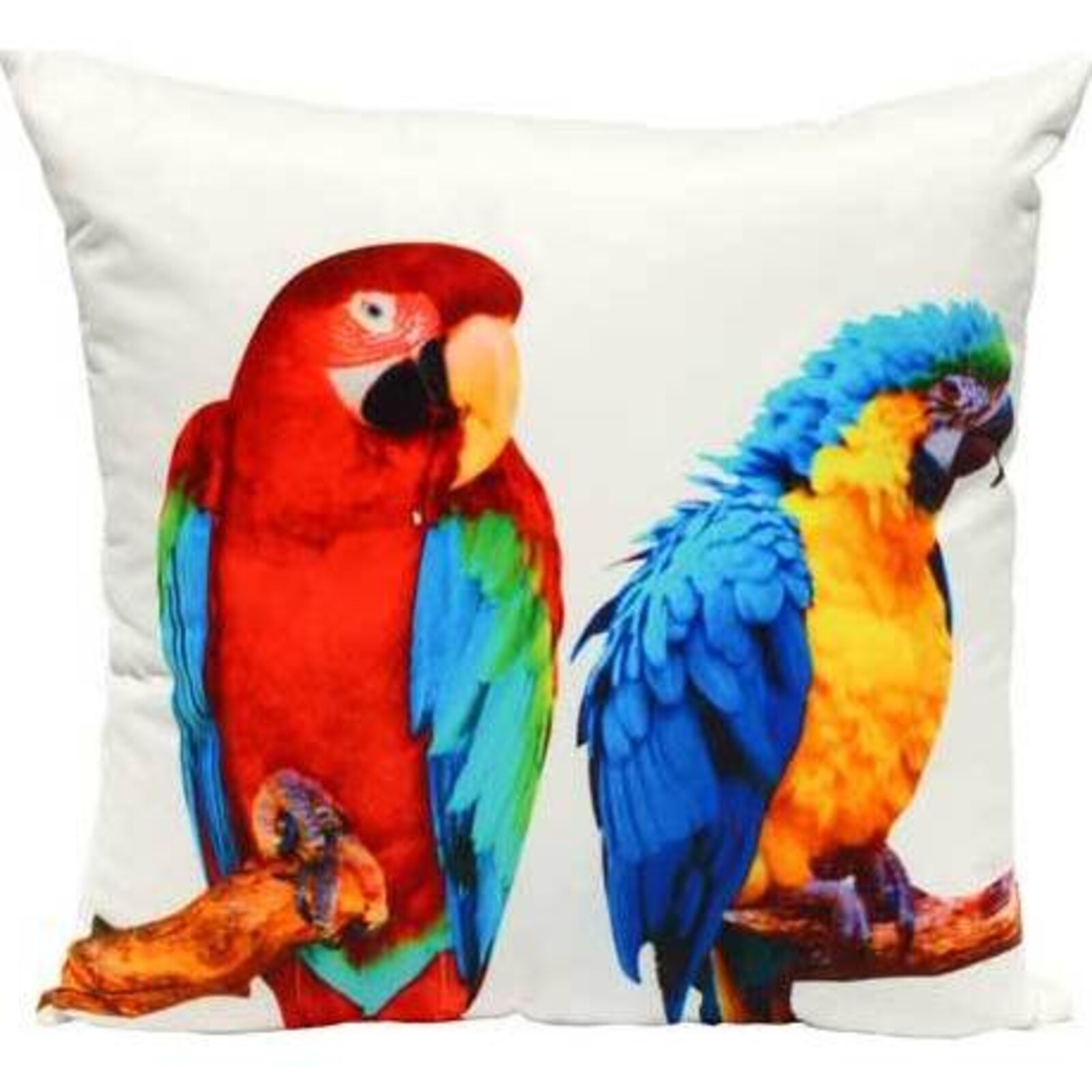 Pair of Parrots Cushion 