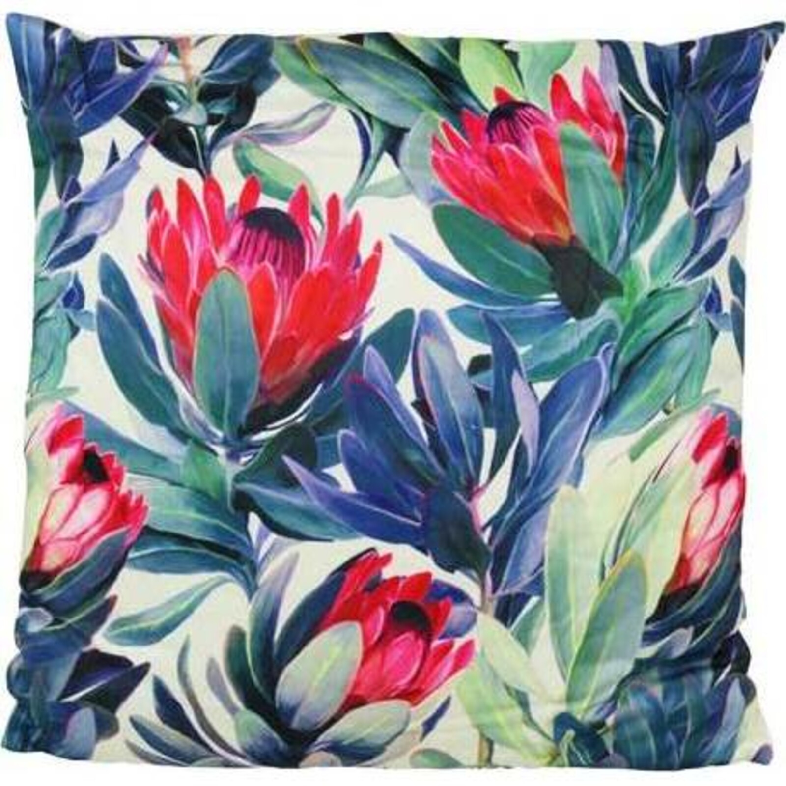 Cushion Proteas