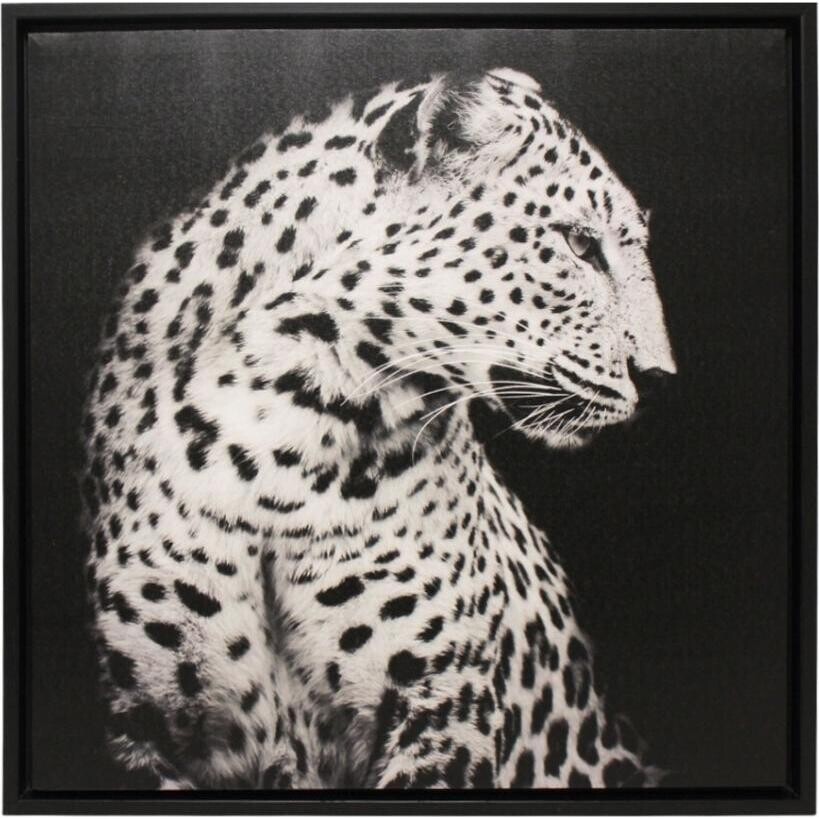 Framed Print Leopard B/W 