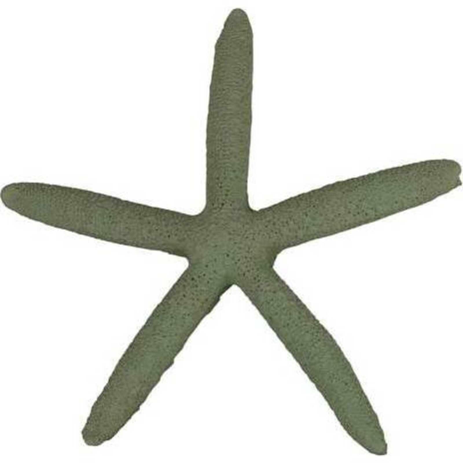Starfish Stone