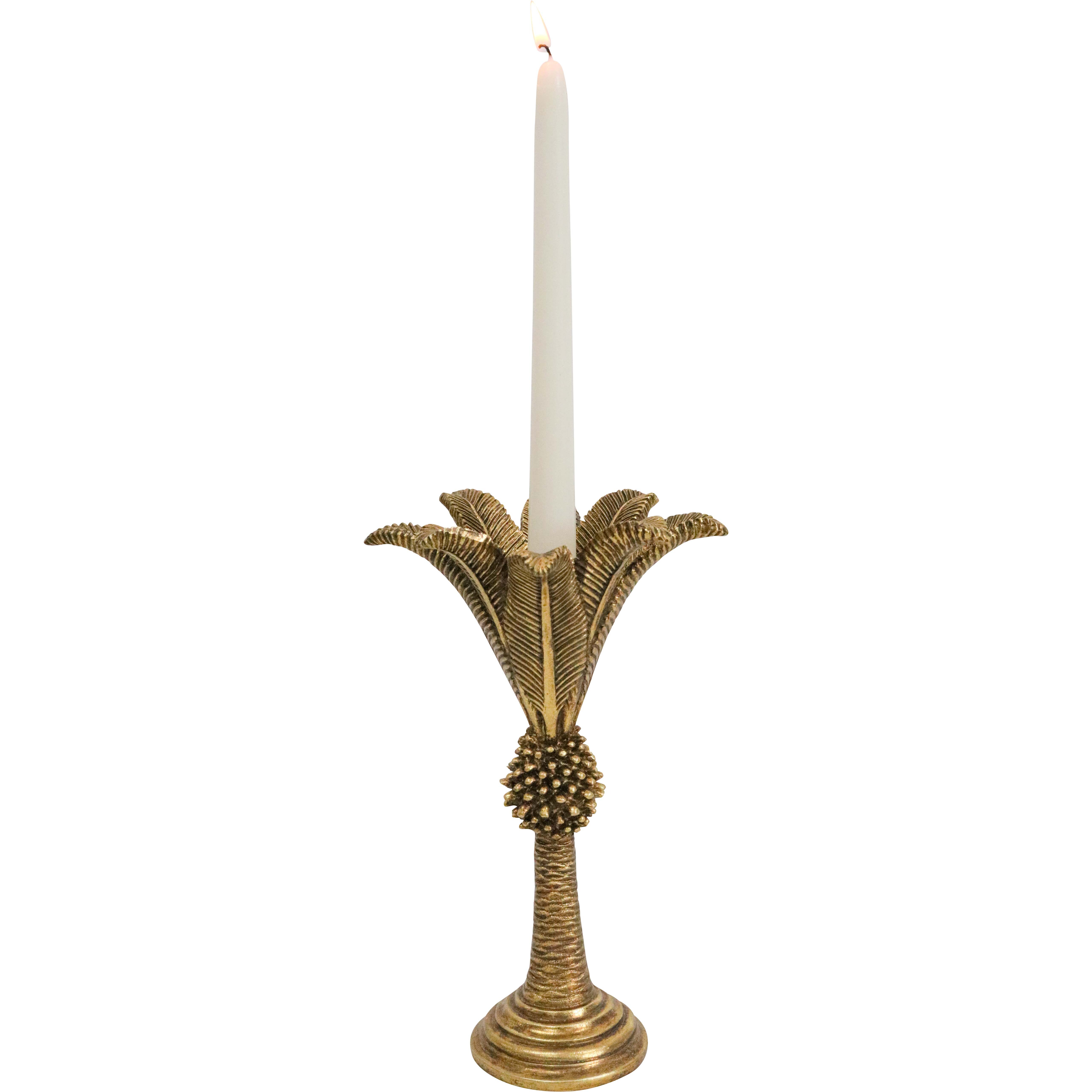 Queen Palm Candle Holder Med