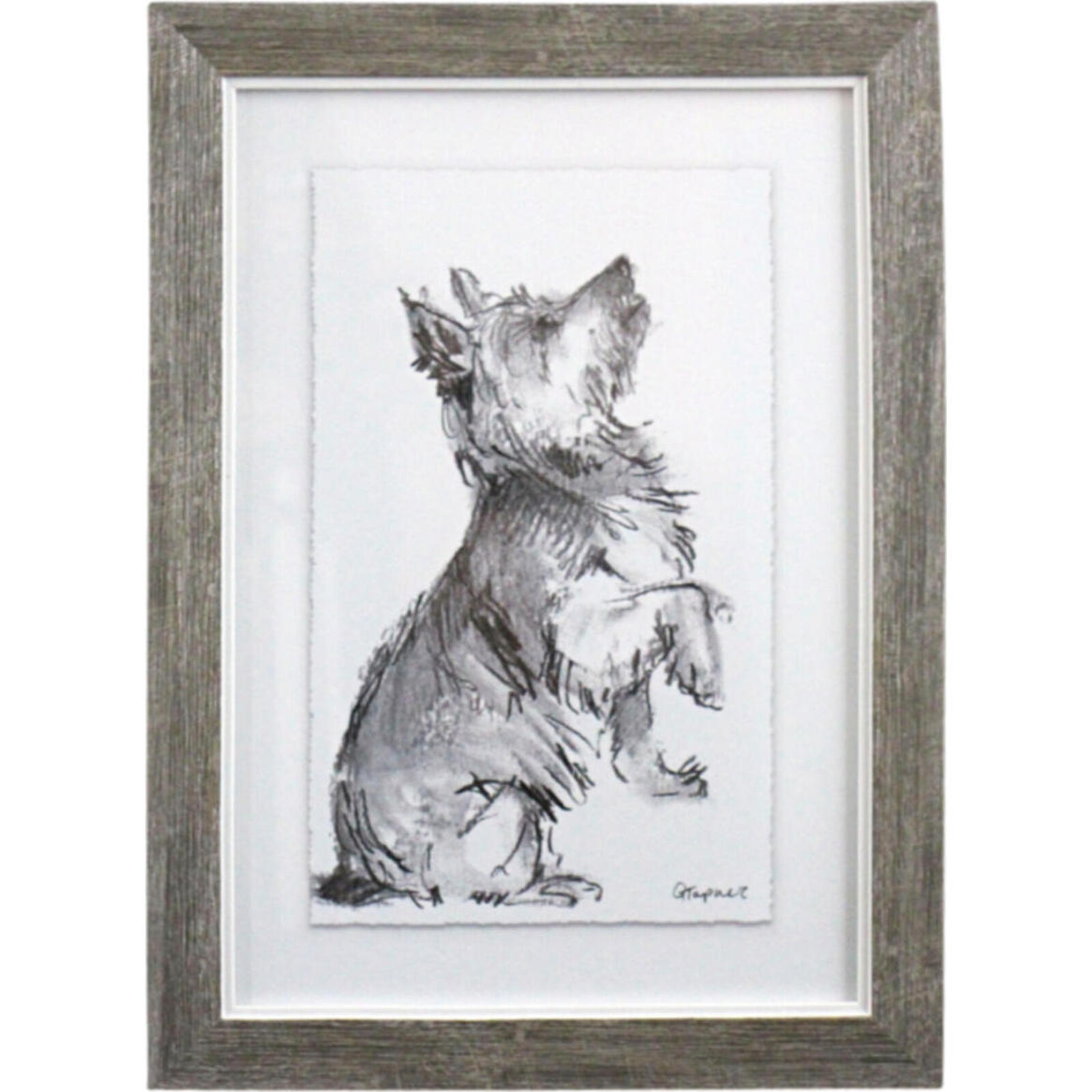 Framed Puppy Drawing 2