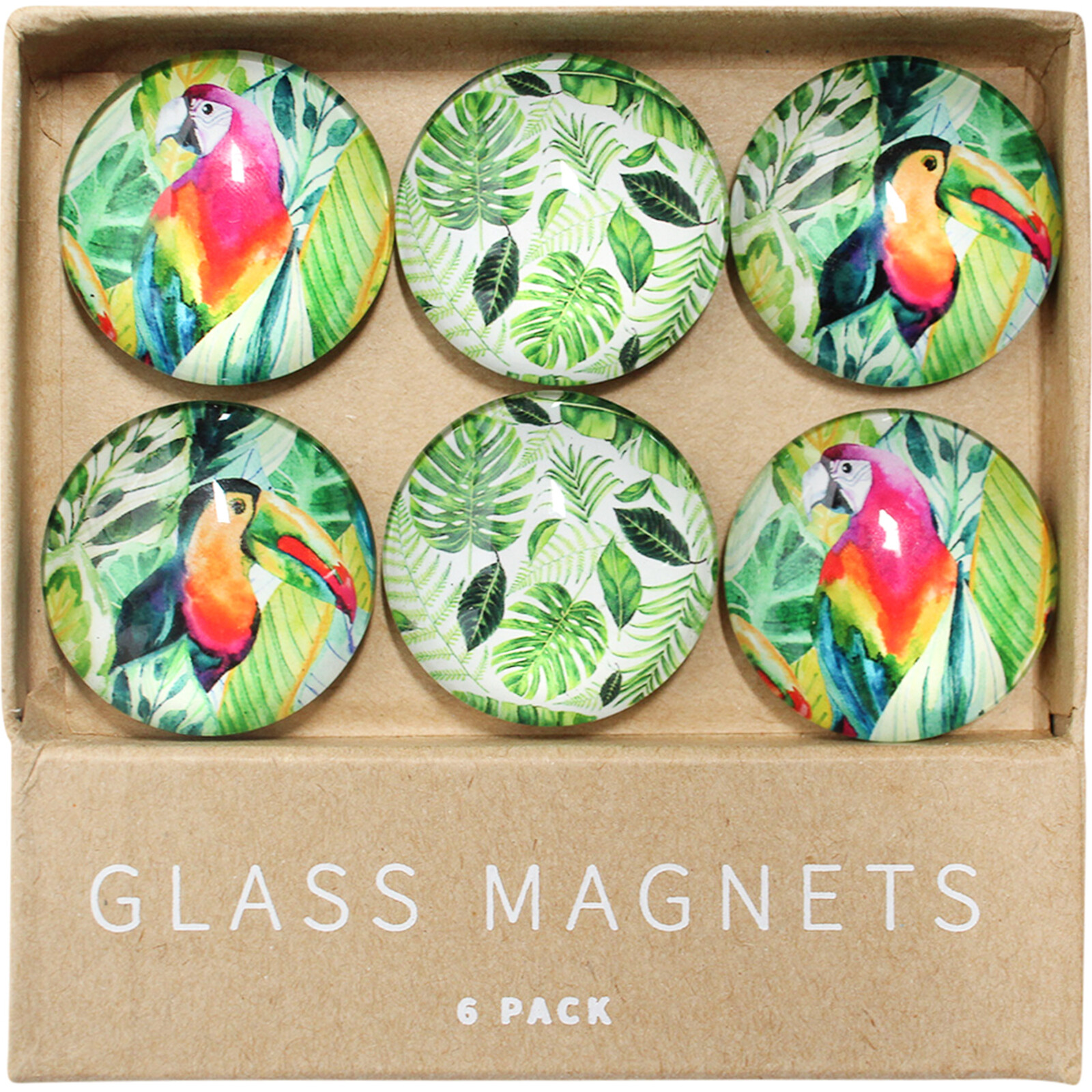 Glass Magnets Tropic S/6
