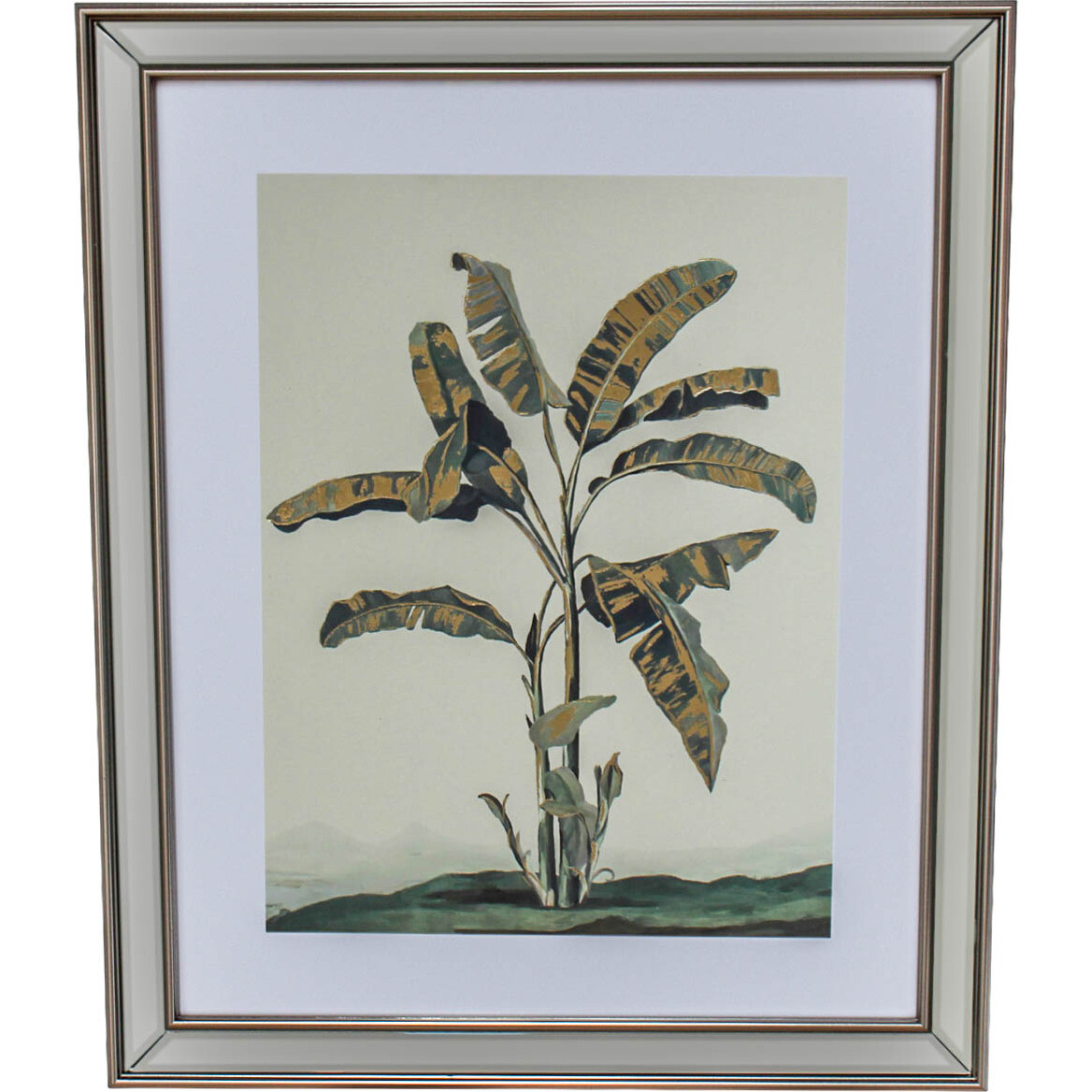 Framed Print Palms 4