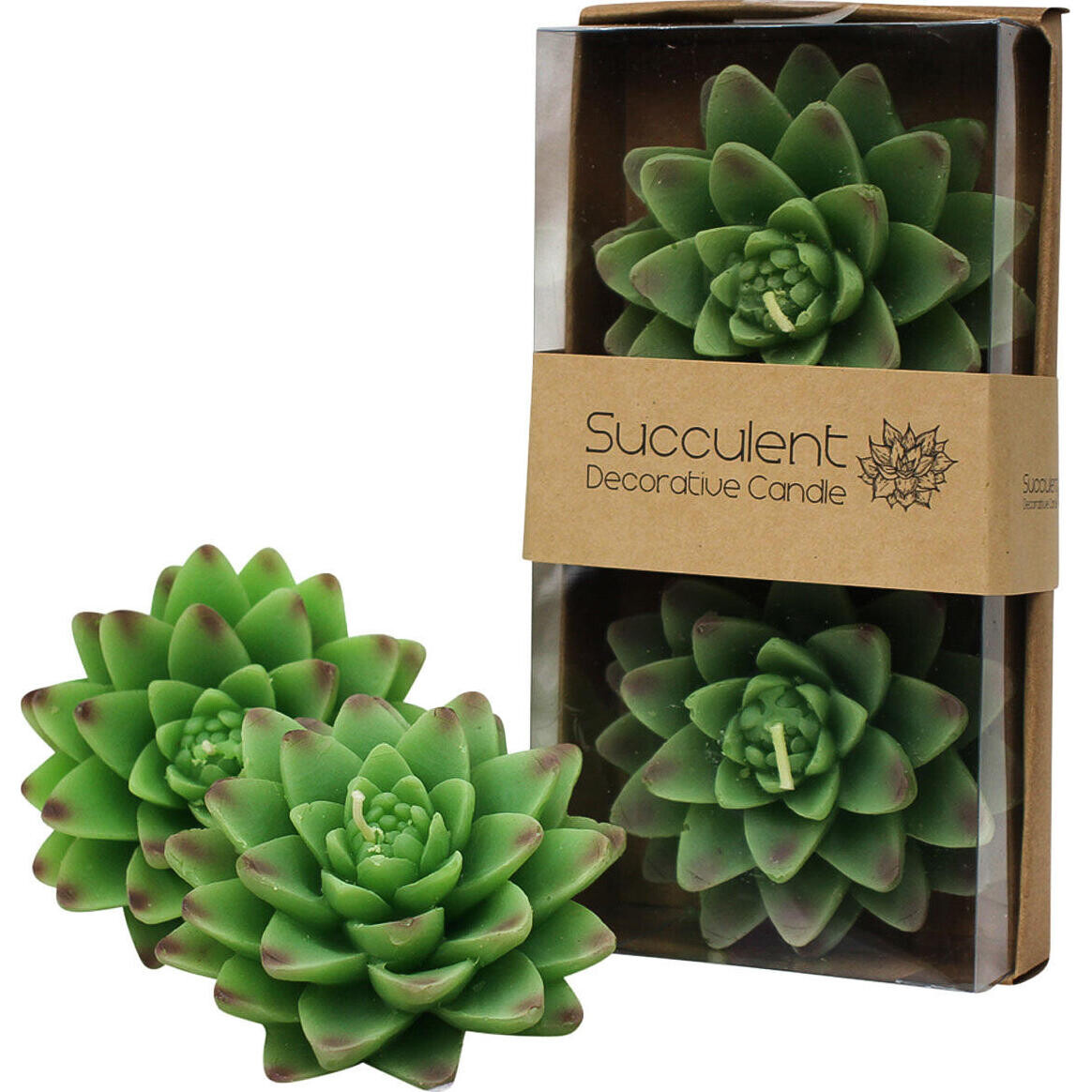 Candle Succulent-B S/2