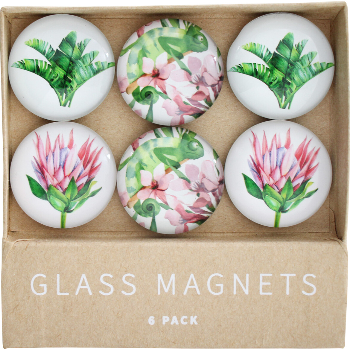 Glass Magnets Tropical ChamelonS/6