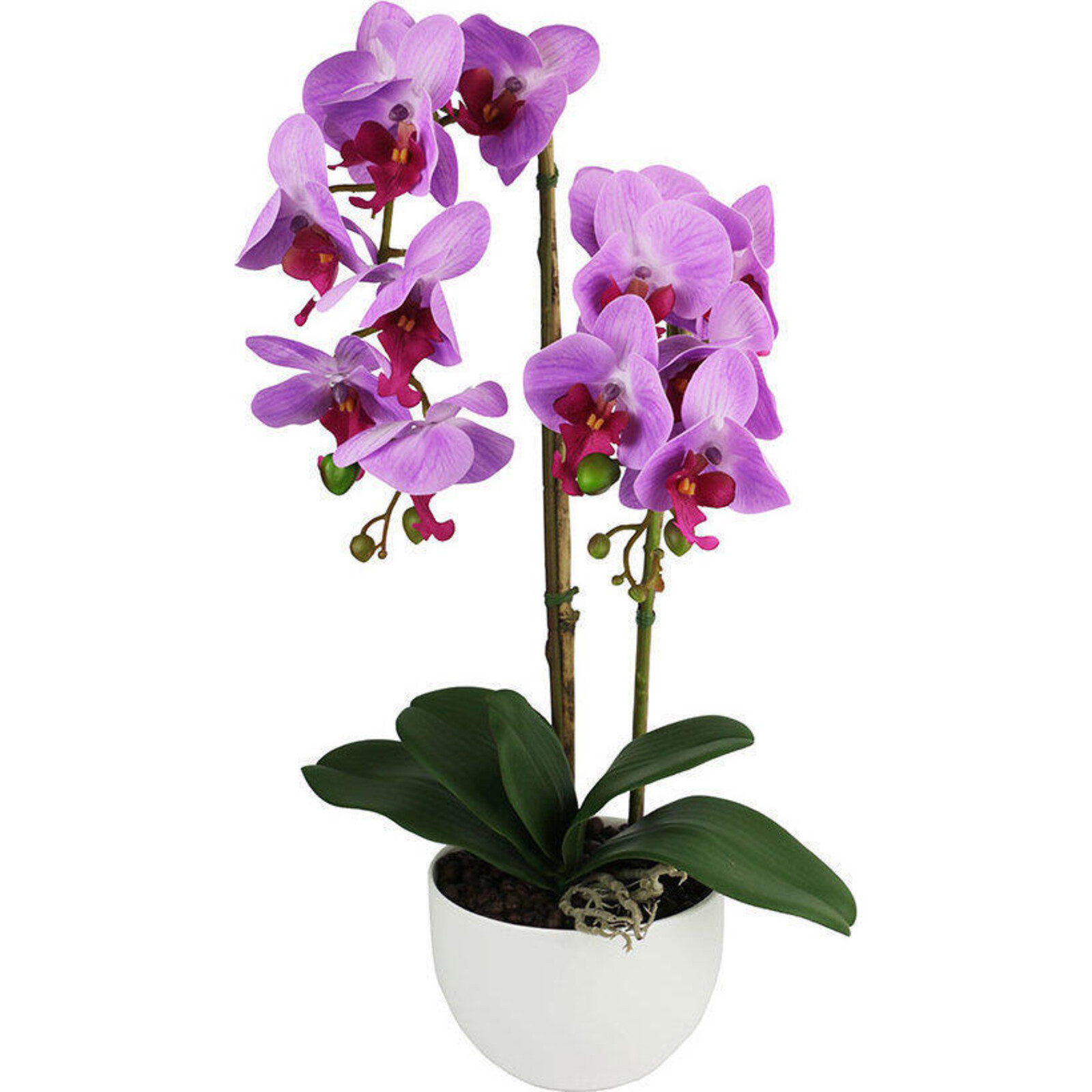Imitation Orchid Purple Medium