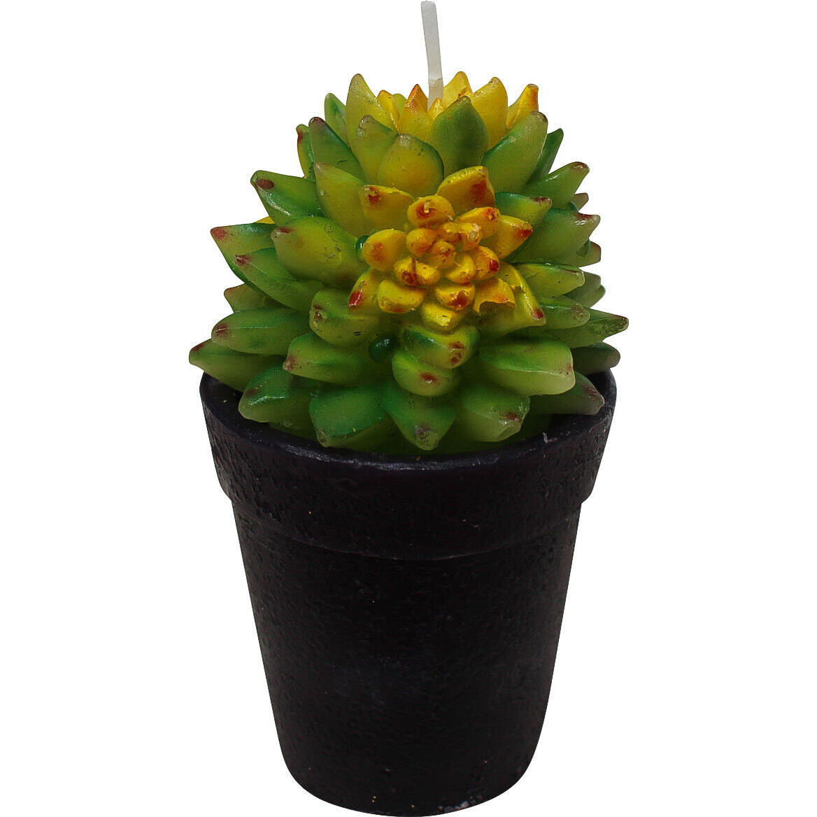 Candle Succulent Pot-B Sm