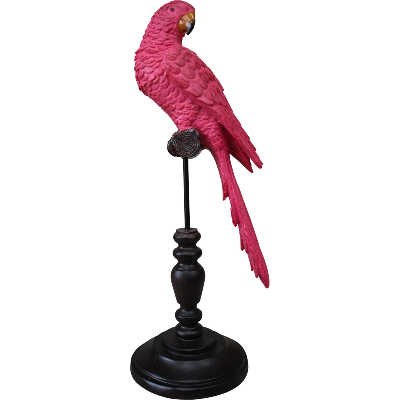 Parrot Pink