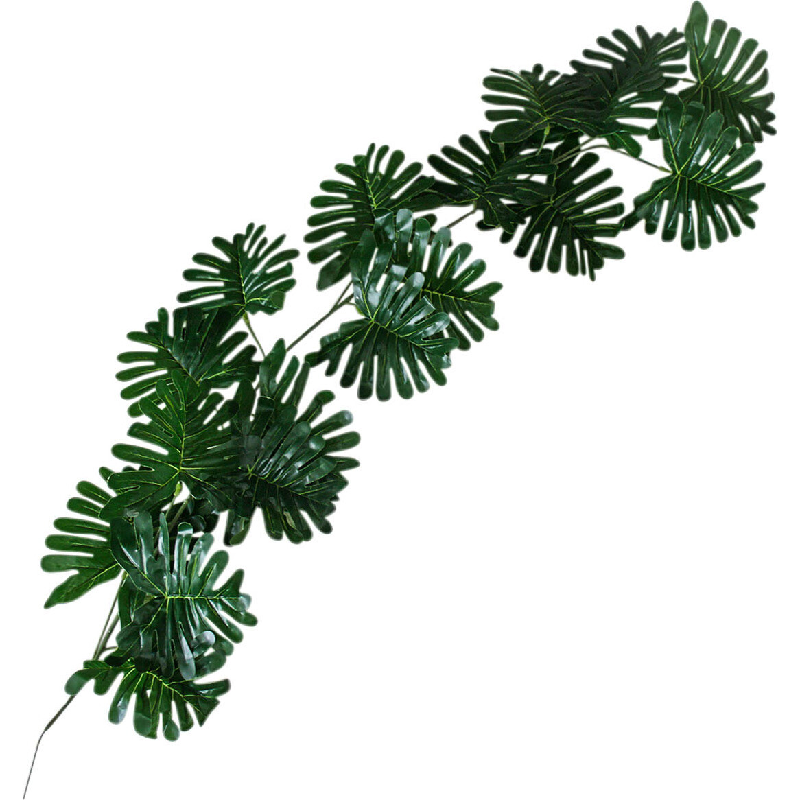 Vine Monstera Leaf