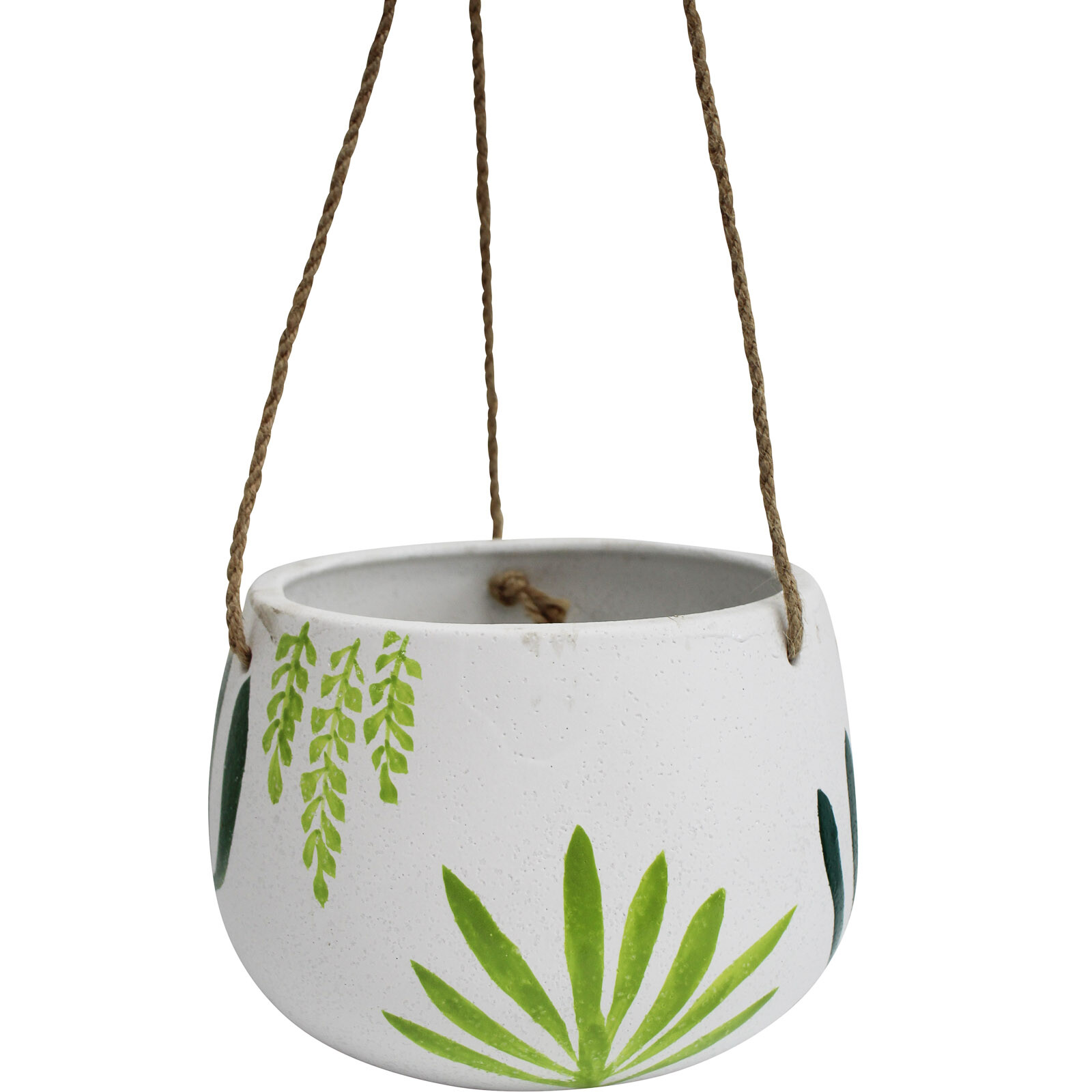 Hang Planter Succulent