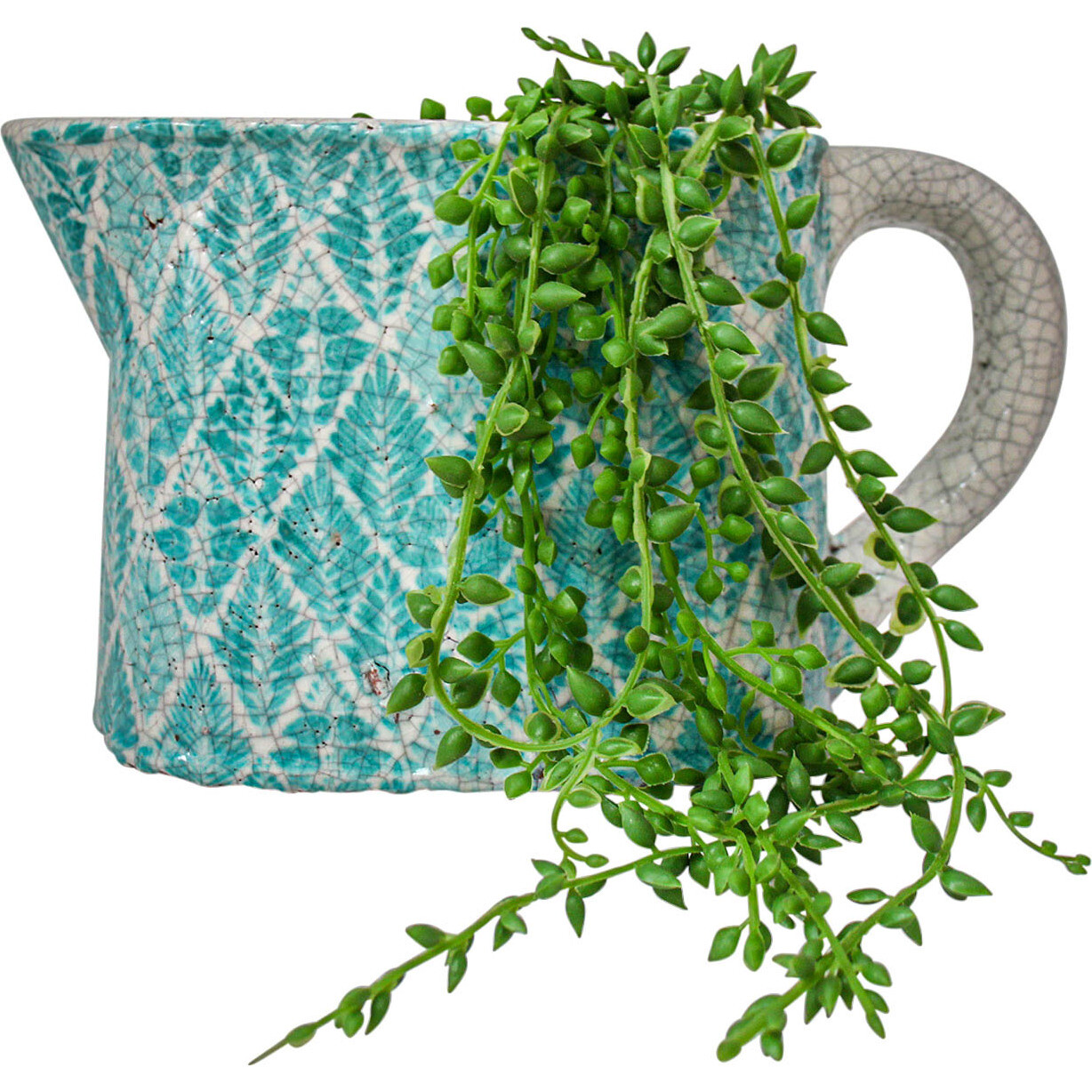 Jug Oval Fern Aqua