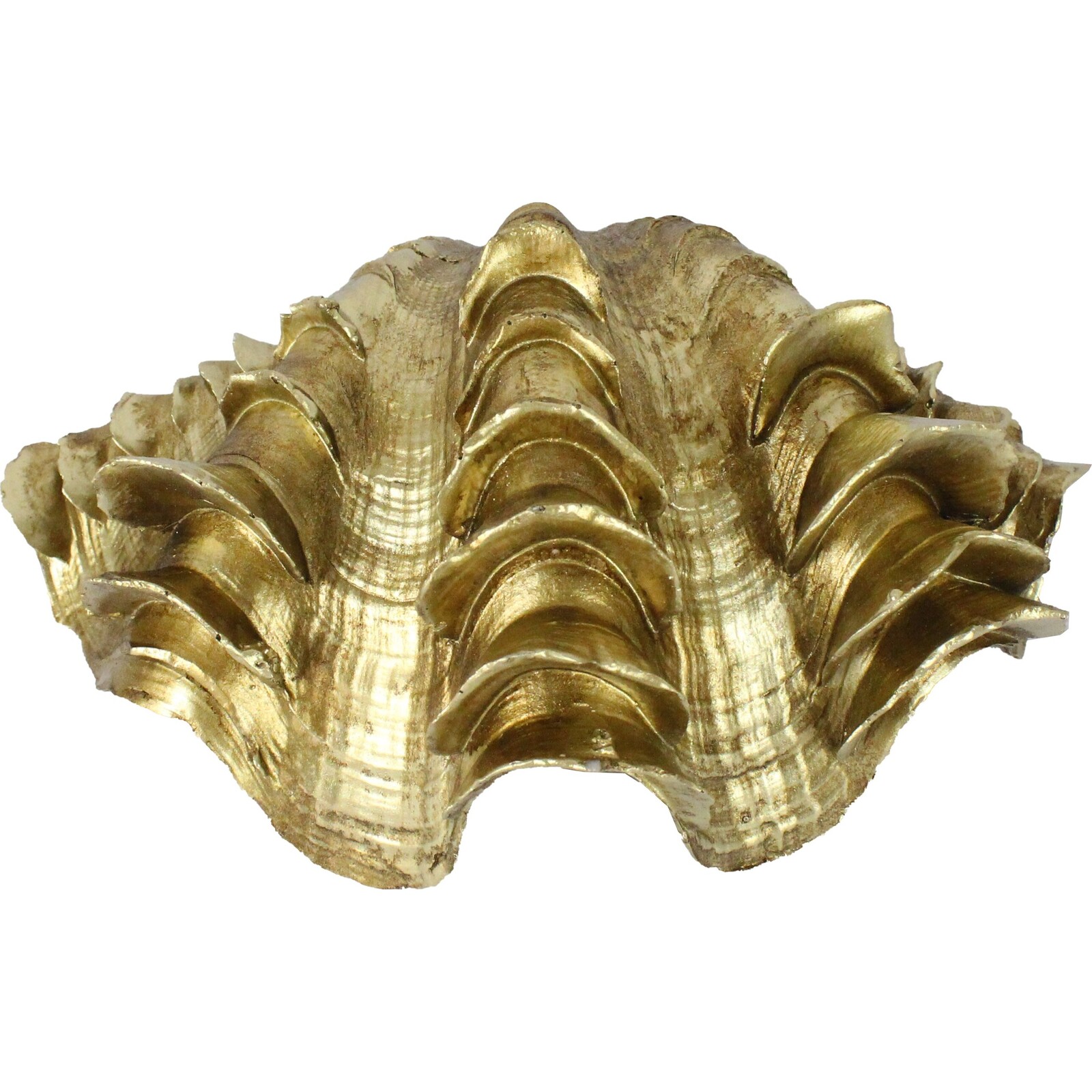 Clam Shell Gold Sml