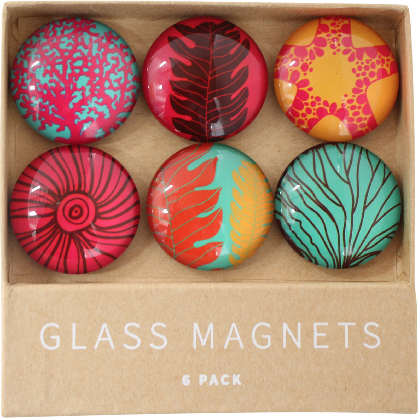 Glass Magnets Pop Reef S/6