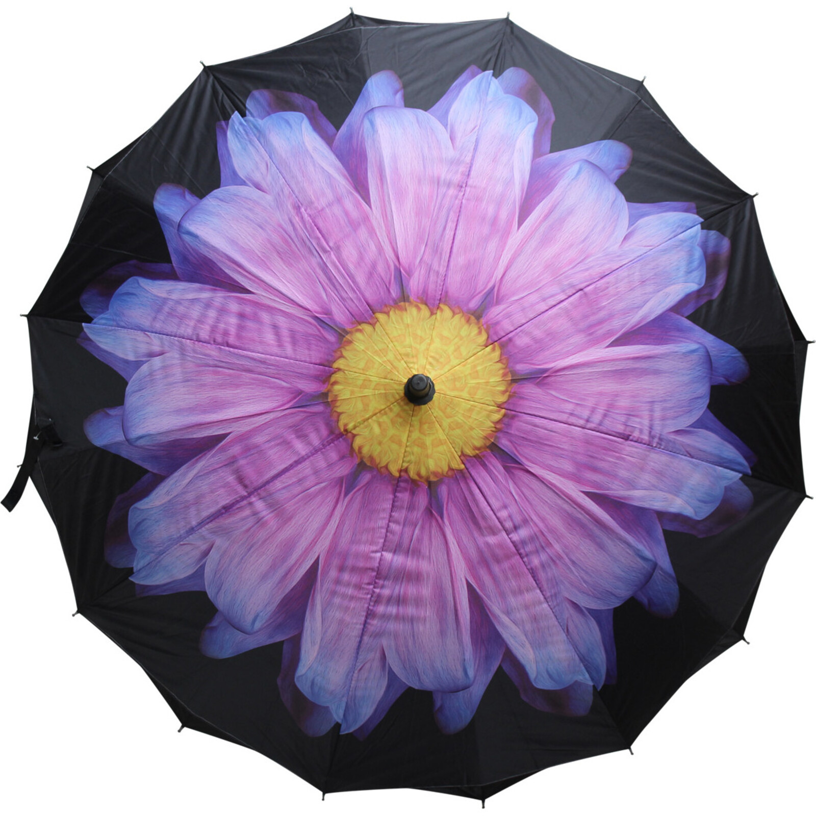 Umbrella Purple Flower