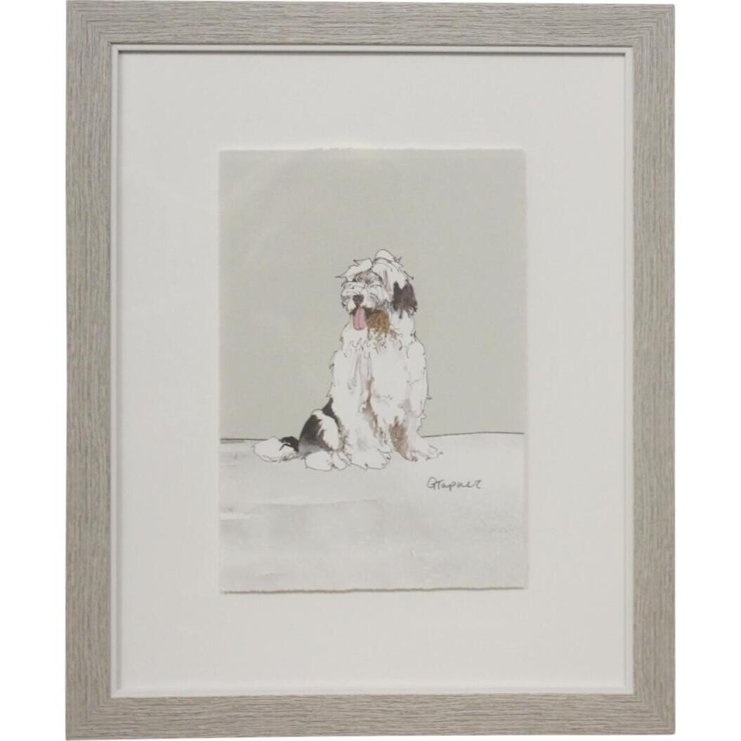 Framed Print Sheepdog