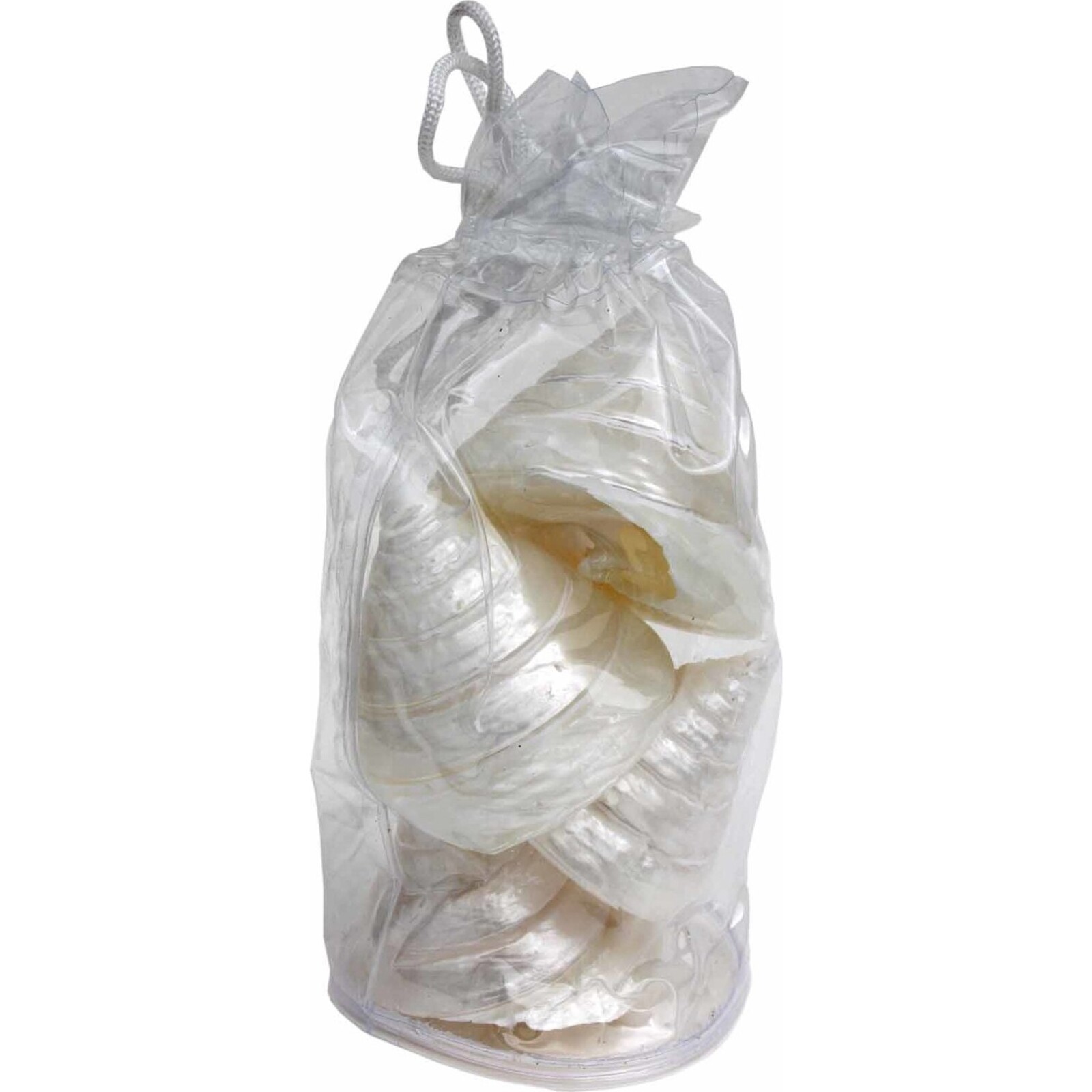 Shell Bag - Polished Trochus