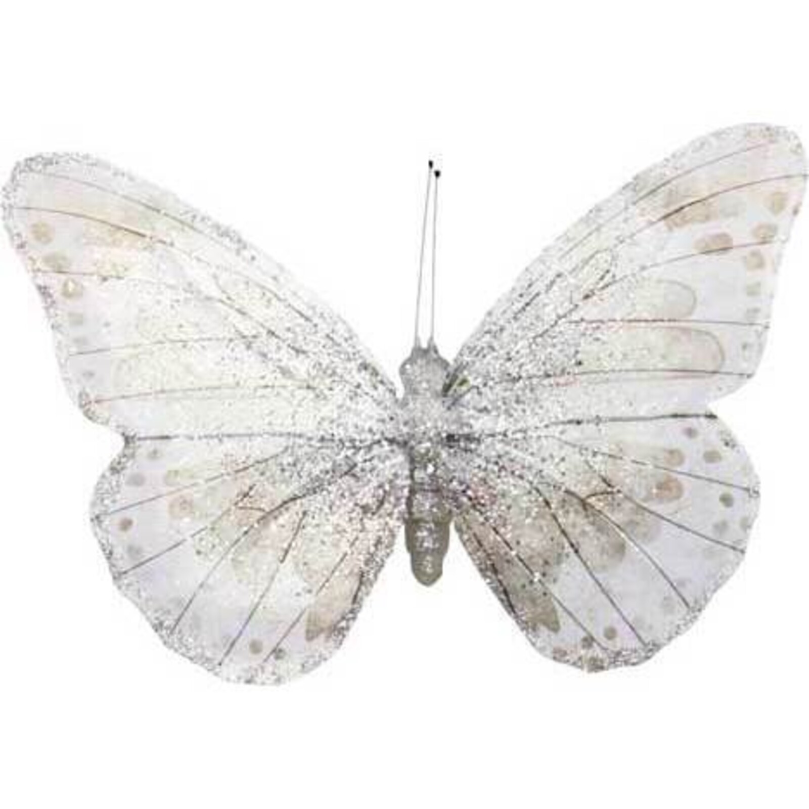 Glitter Butterfly Large - White Black Line