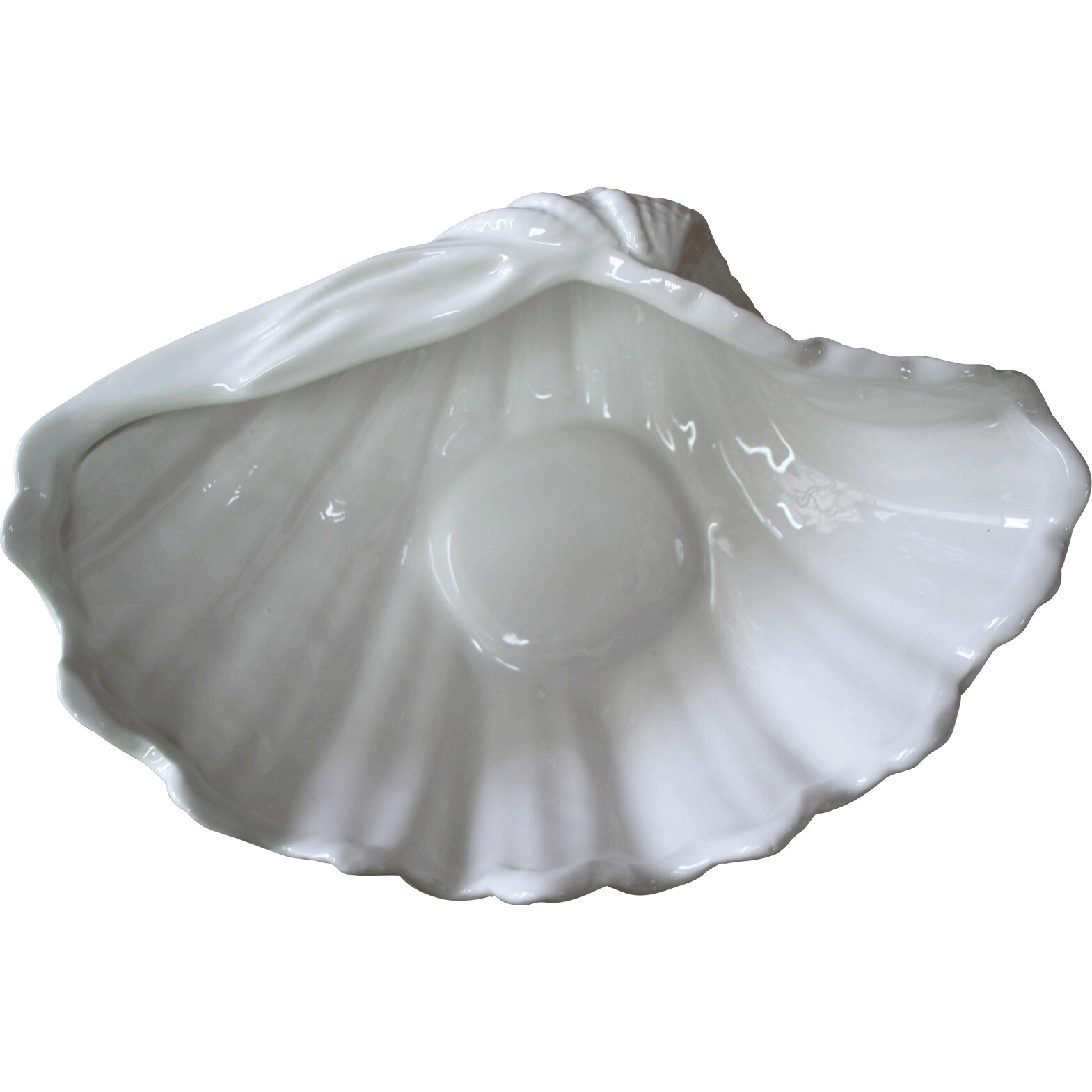 Ceramic Clam White