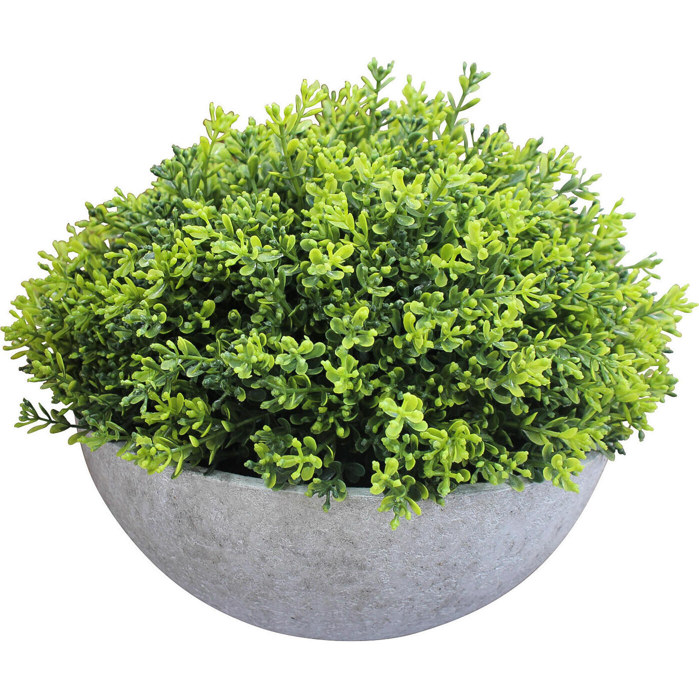 Faux Moss Bowl Green